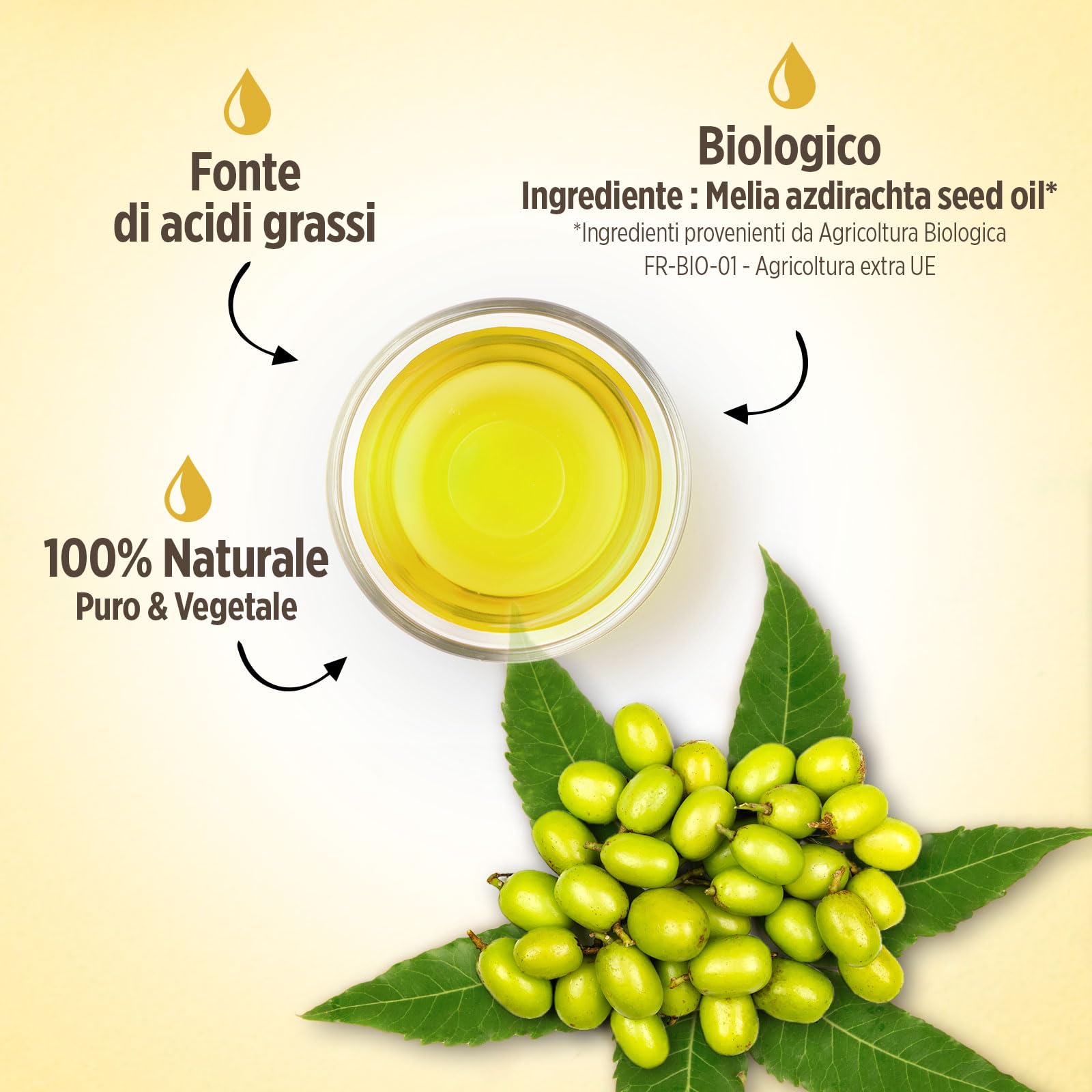 Olio di Neem Biologico 500 ml