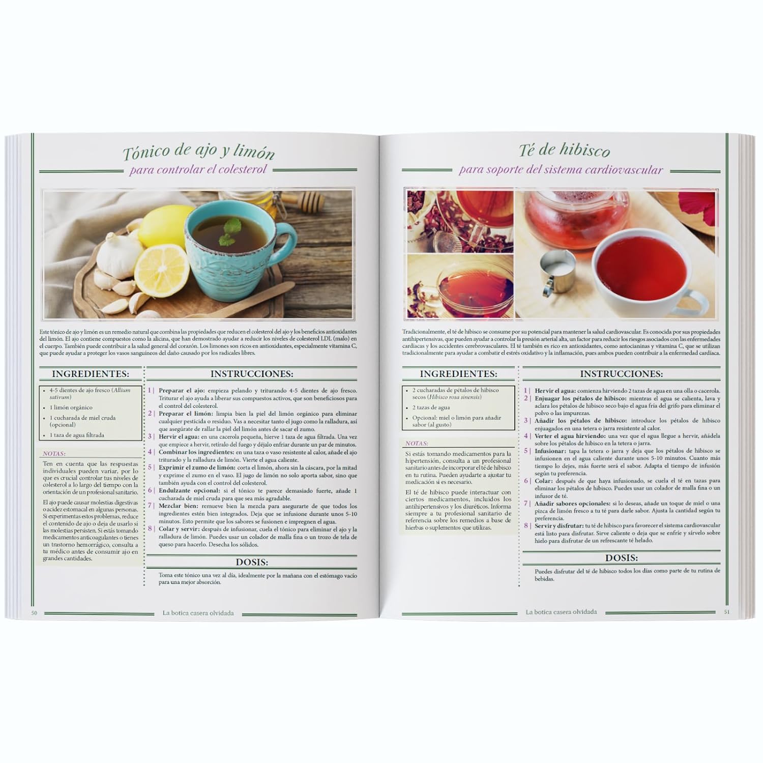 La Botica Casera Olvidada: 250 poderosos remedios al alcance de tu mano      Paperback – December 1, 2025