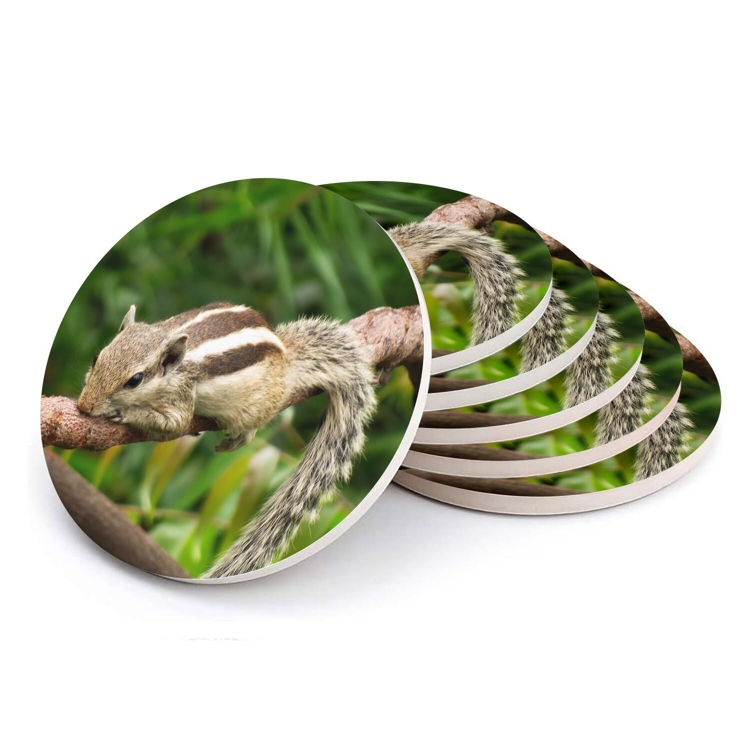 Dessous de verre céramique écureuil chipmunk - Set de table rond forêt animal sauvage