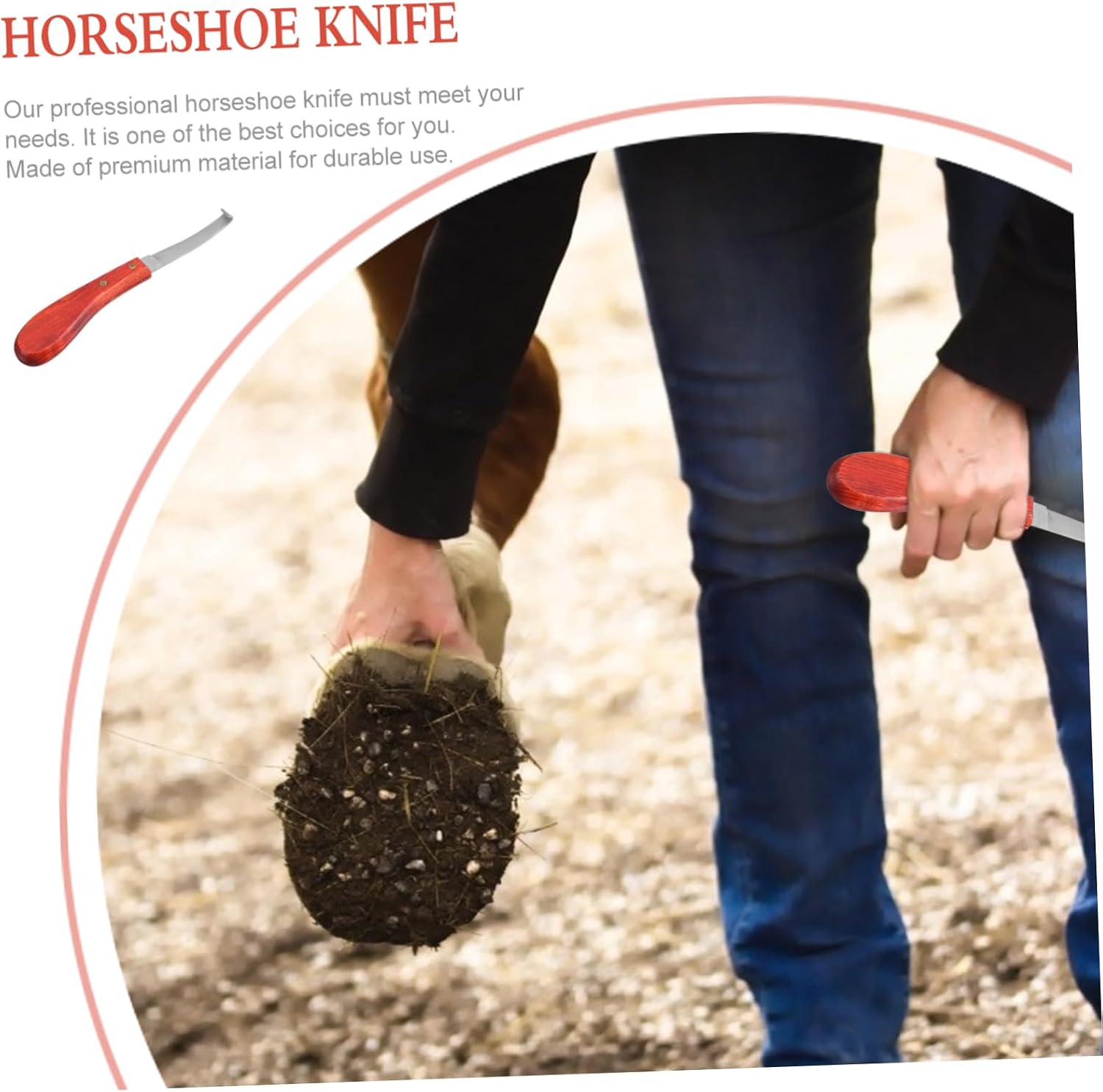 Hemoton 1pc Sturdy Horseshoe Trimmer Tool for Care Hoof Repair Cutter Compact Design for Easy Carrying for Horse Owners and Trainers