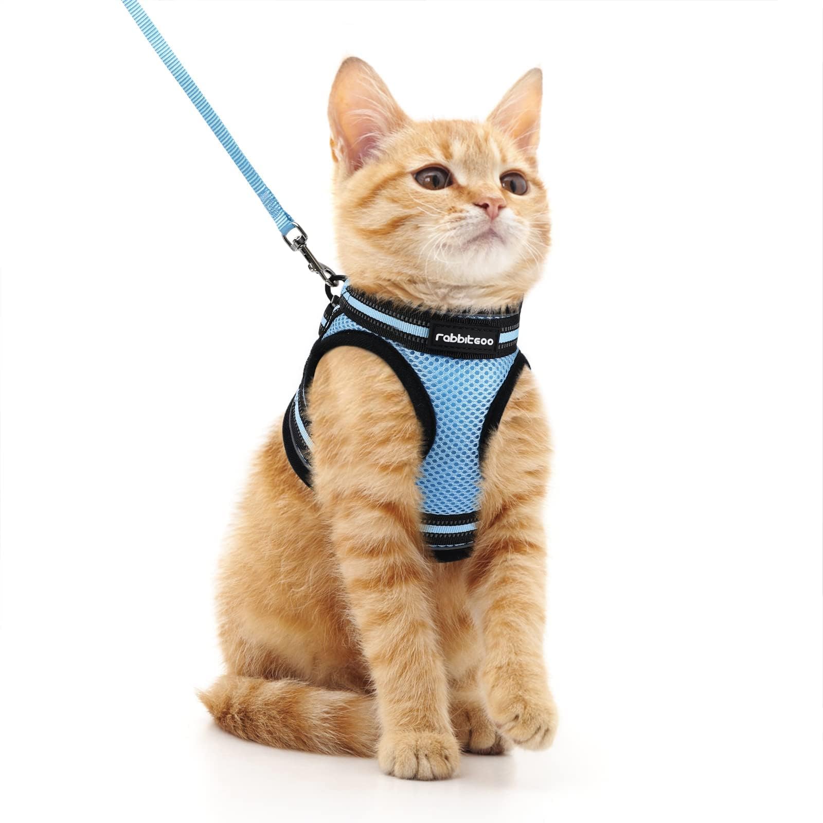 rabbitgoo Cat Harness and Leash Set for Walking Escape Proof, Adjustable Soft Kittens Vest with Reflective Strip for Cats, Comfortable Outdoor Vest, Black, Small — view 18