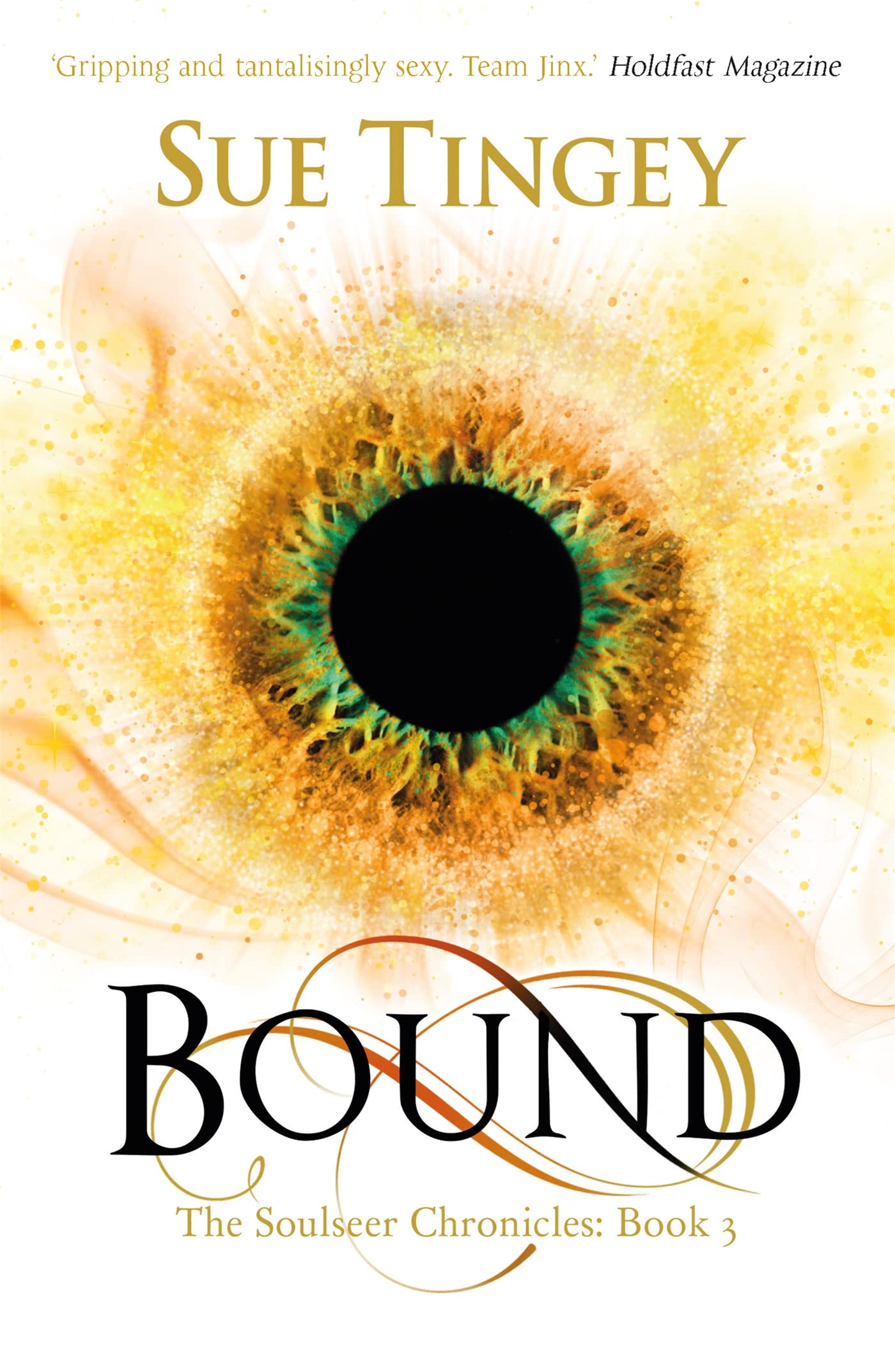 Bound: The Soulseer Chronicles Book 3,Sue Tingey