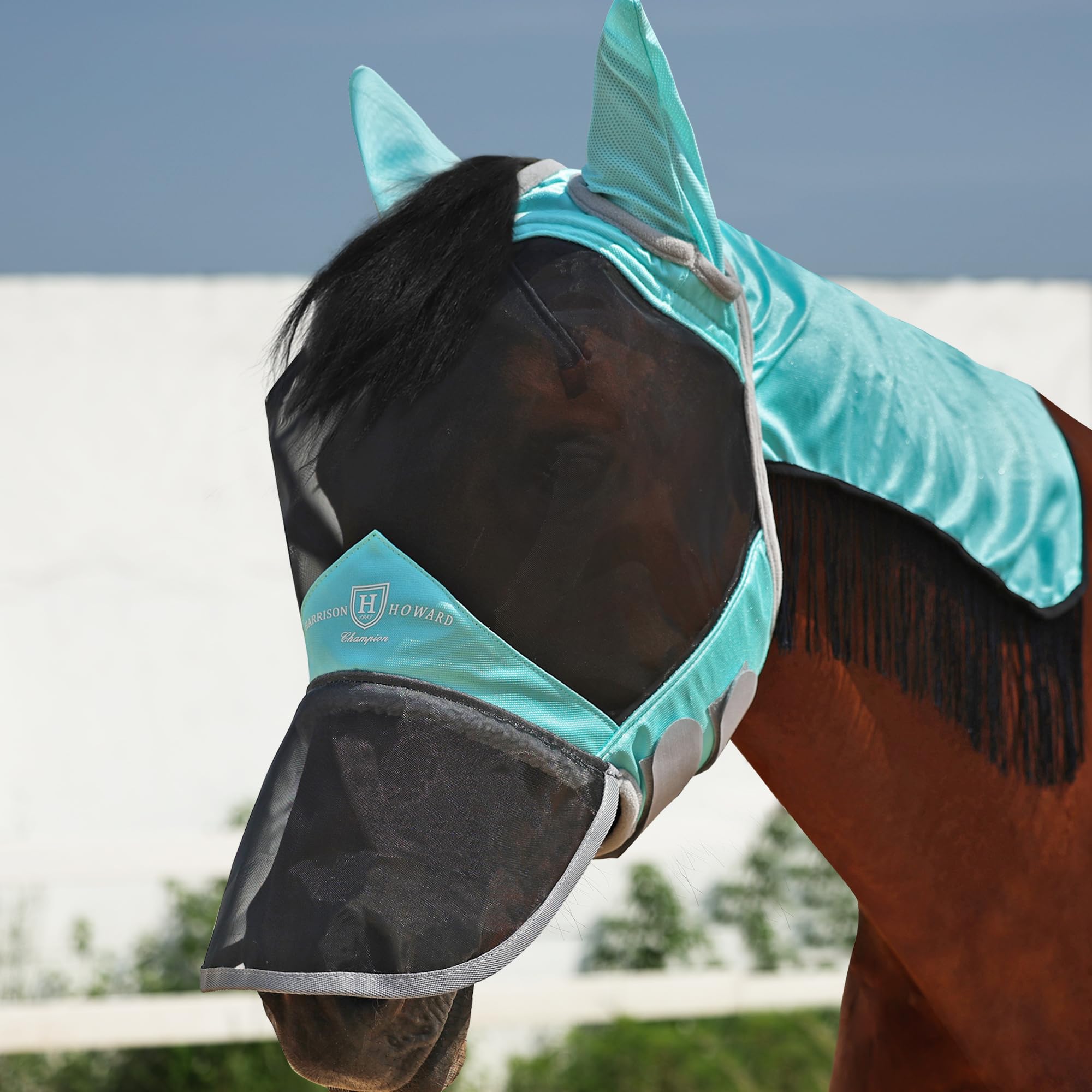 Harrison Howard Pro Fly Mask with Extended Neck Cover Large Eye Space Full Face UV-Proof Mane Styling for Horse Summer Mint L