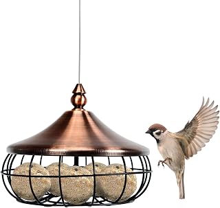 COSTWAY tisdumpling Holder, Bird Feeder with Iron Grid for Hanging, Wild Bird Feeder Bird Feeder for Peat Dumplings Metal for Garden Balcony Terrace 17 x 14cm