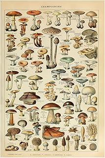 picture Glass Mushroom Wall Decor amazon com mushroom wall art