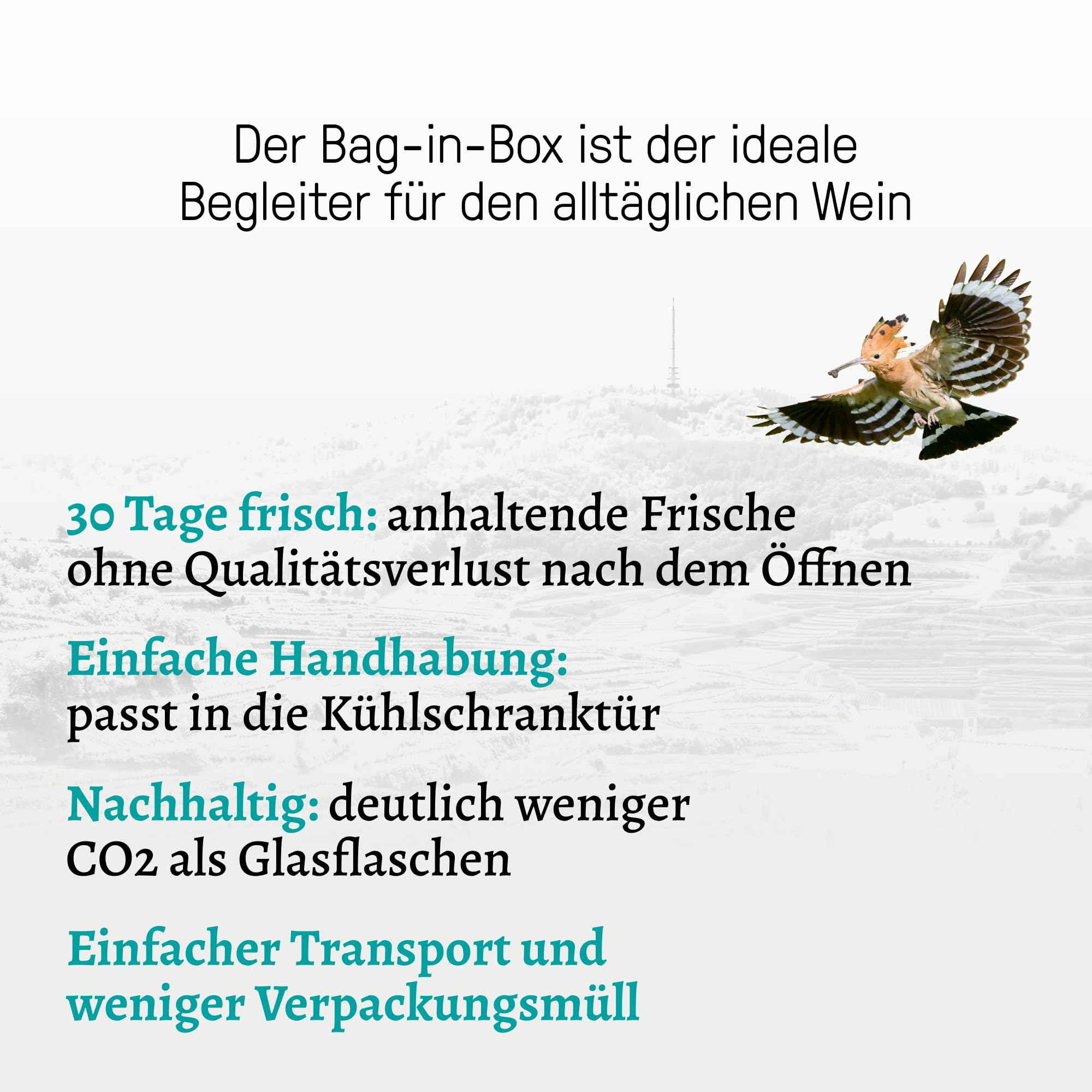 Sonnenstund Grauburgunder Weißwein-Paket - Bag-in-Box Grauburgunder trocken vom Kaiserstuhl - fruchtig-frisch & unkompliziert, ideal für Feiern, Gartenparty & Camping (4 x 3 l)