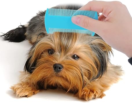 6Pcs Flea Comb Cat Combs Set Flea Lice Comb Fine Tooth Comb Dog Comb Multifunctional Pet Hair Comb for Grooming and Dehairing Face and Paws for Large Medium Small Dogs Cats - 3 Type