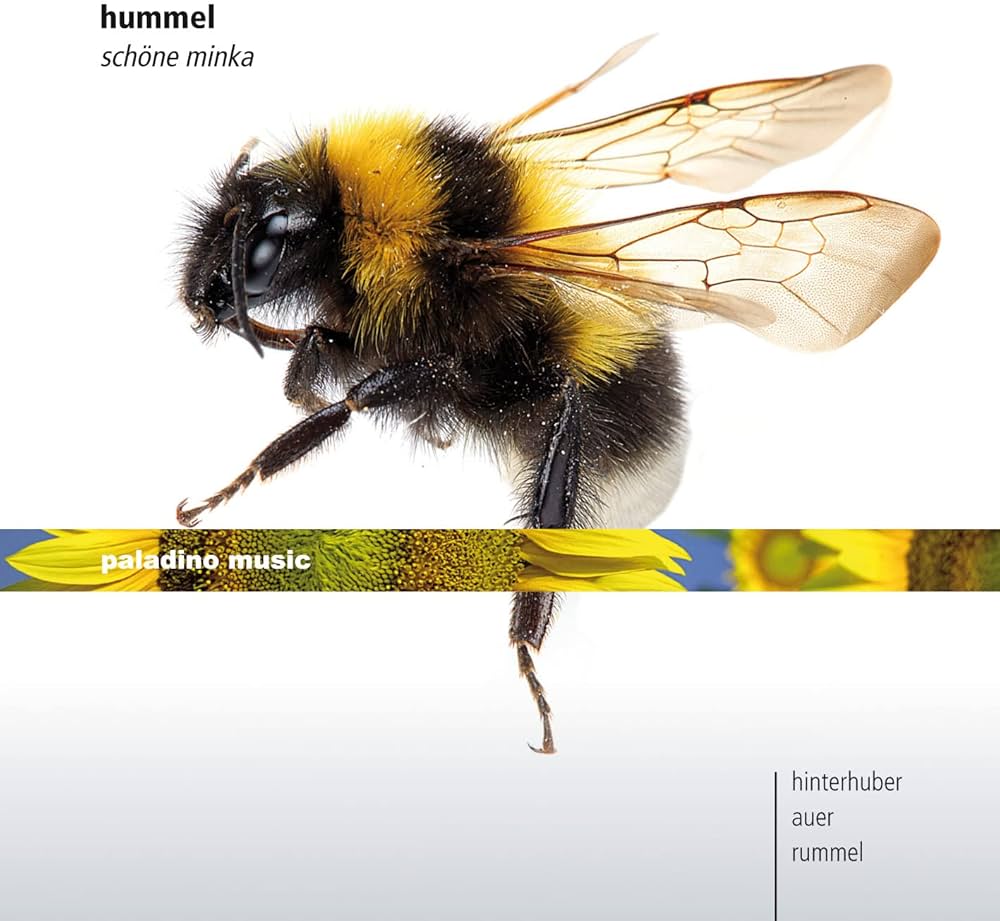 ★ 【未開封】 輸入盤クラシックCD フンメル 作品集 Amazon.co.jp: フンメル:作品集: Music