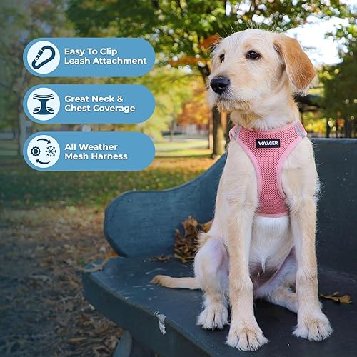 Miniatura 5 de Voyager Step-in Air All Weather Mesh Harness and Reflective Dog 5 ft Leash Combo with Neoprene Handle, for Small, Medium and Large Breed Puppies by