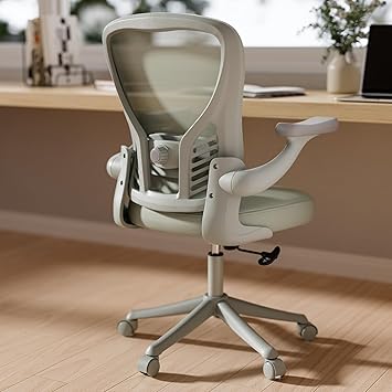 Amazon.com: GYI Ergonomic Office Chair, Mesh Desk Chair with Adjustable ...