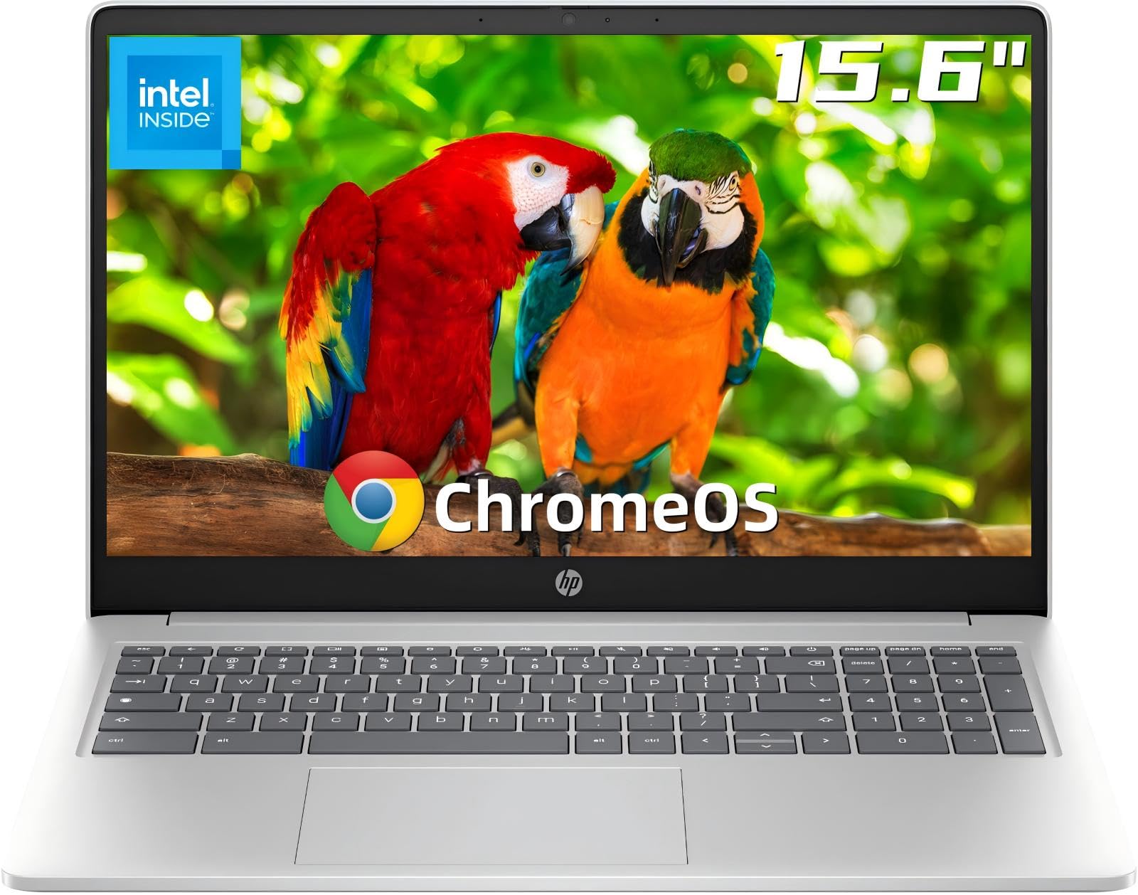 Amazon.com: HP 15.6
