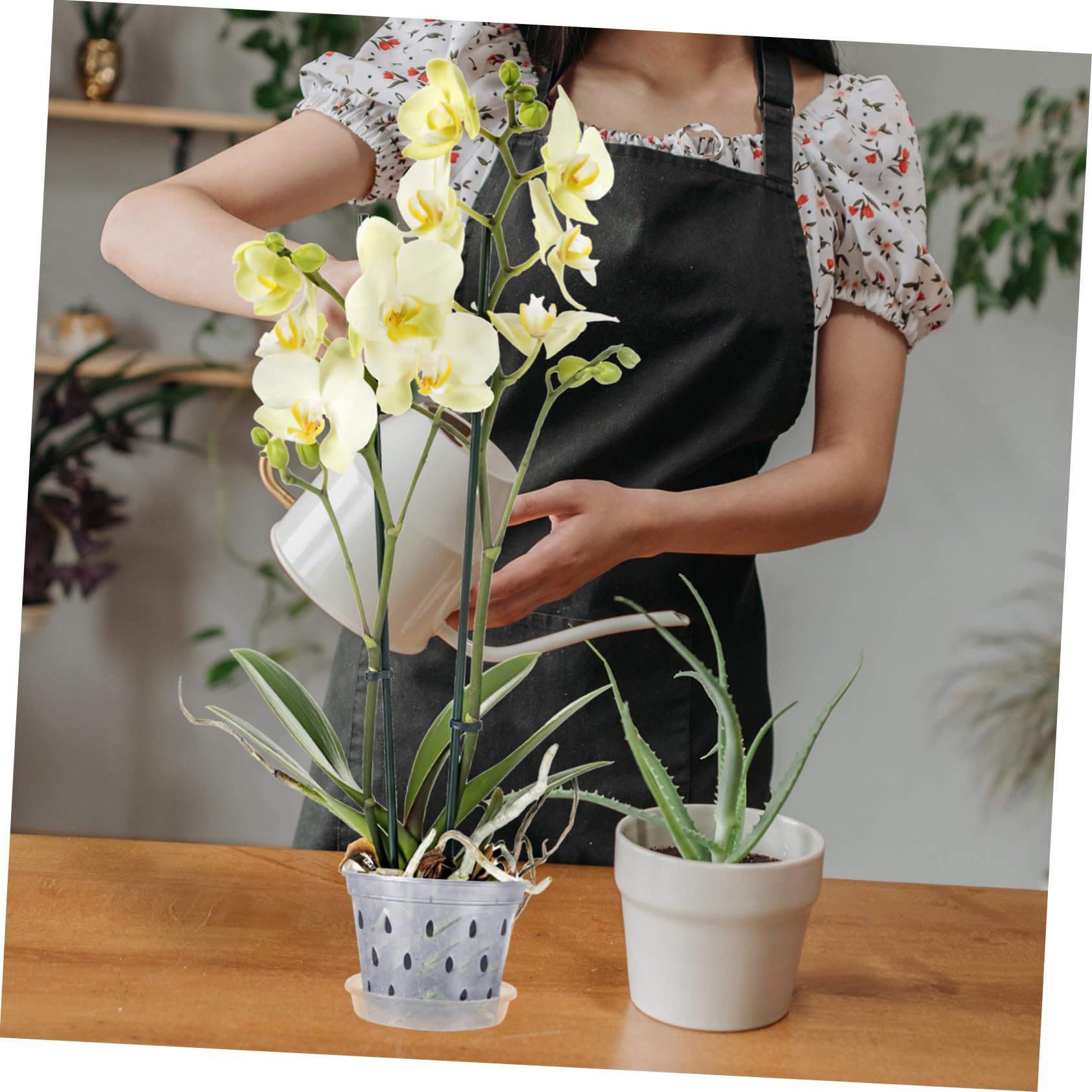 BESTonZON 9 Stück Teiliges Transparentes Orchideentopf Drainagelöchern und Untersetzern Leichte Robuste Pflanztöpfe für Schmetterlingsorchideen und Vielseitige