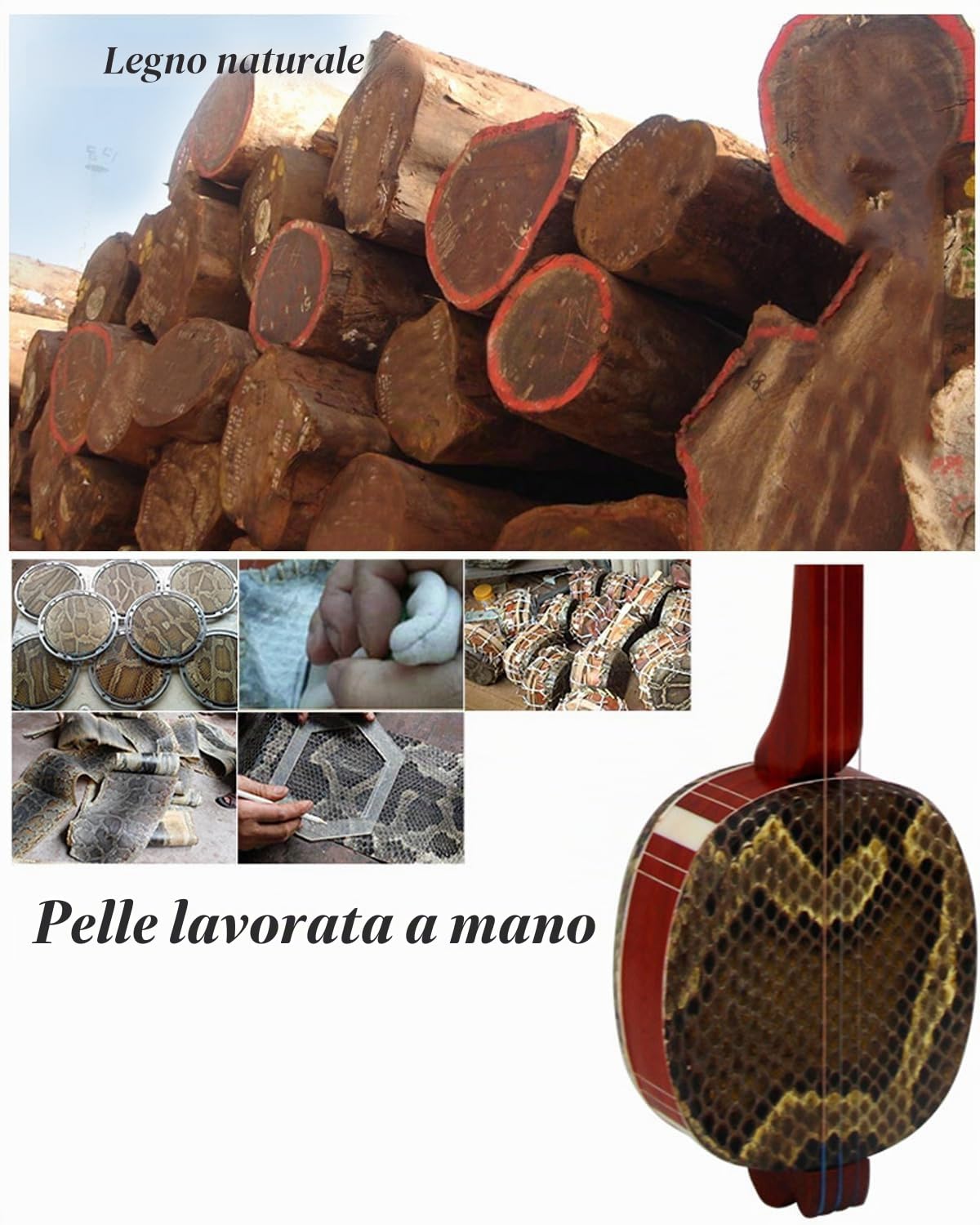 Chitarra Tradizionale Cinese a 3 Corde Sanxian, Strumento Cinese per Principianti, artisti Black S