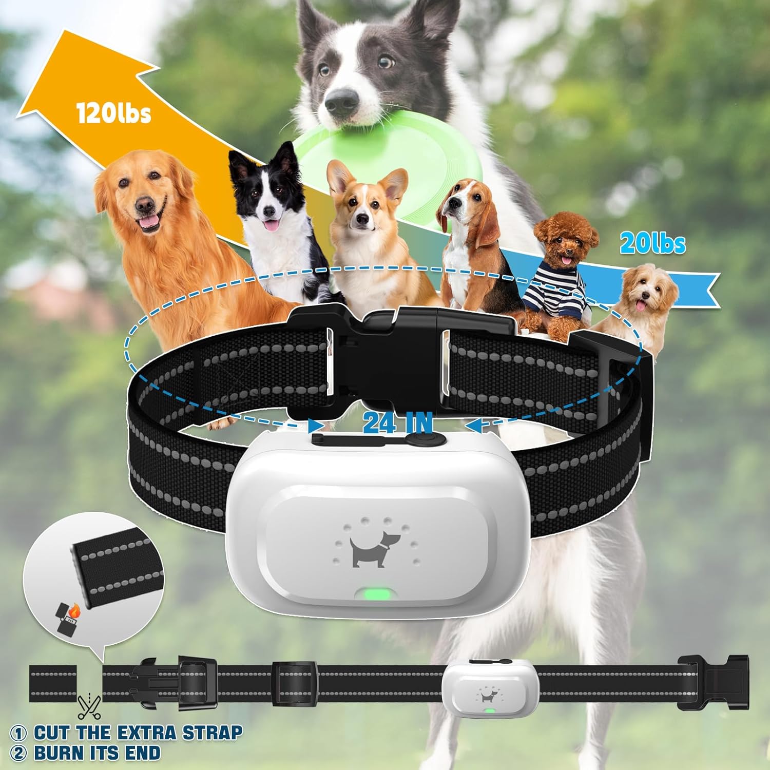 Pedono A50 Multi-Dog Training with Channel A