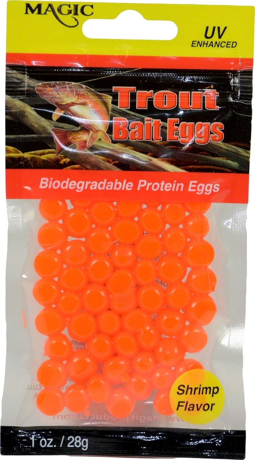 美品】現代語訳『正法眼蔵随聞記』池田魯参 大蔵出版 道元 正法眼蔵