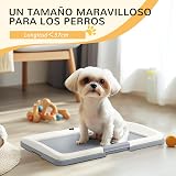 Ver la foto 5