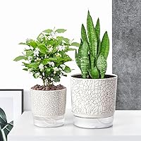 Vista 6 de Macetas de Riego Automático para Plantas de Interior, Macetas para Flores, Maceta de Riego Automático de 2 piezas 4+5.3 pulgadas Textura con Grietas