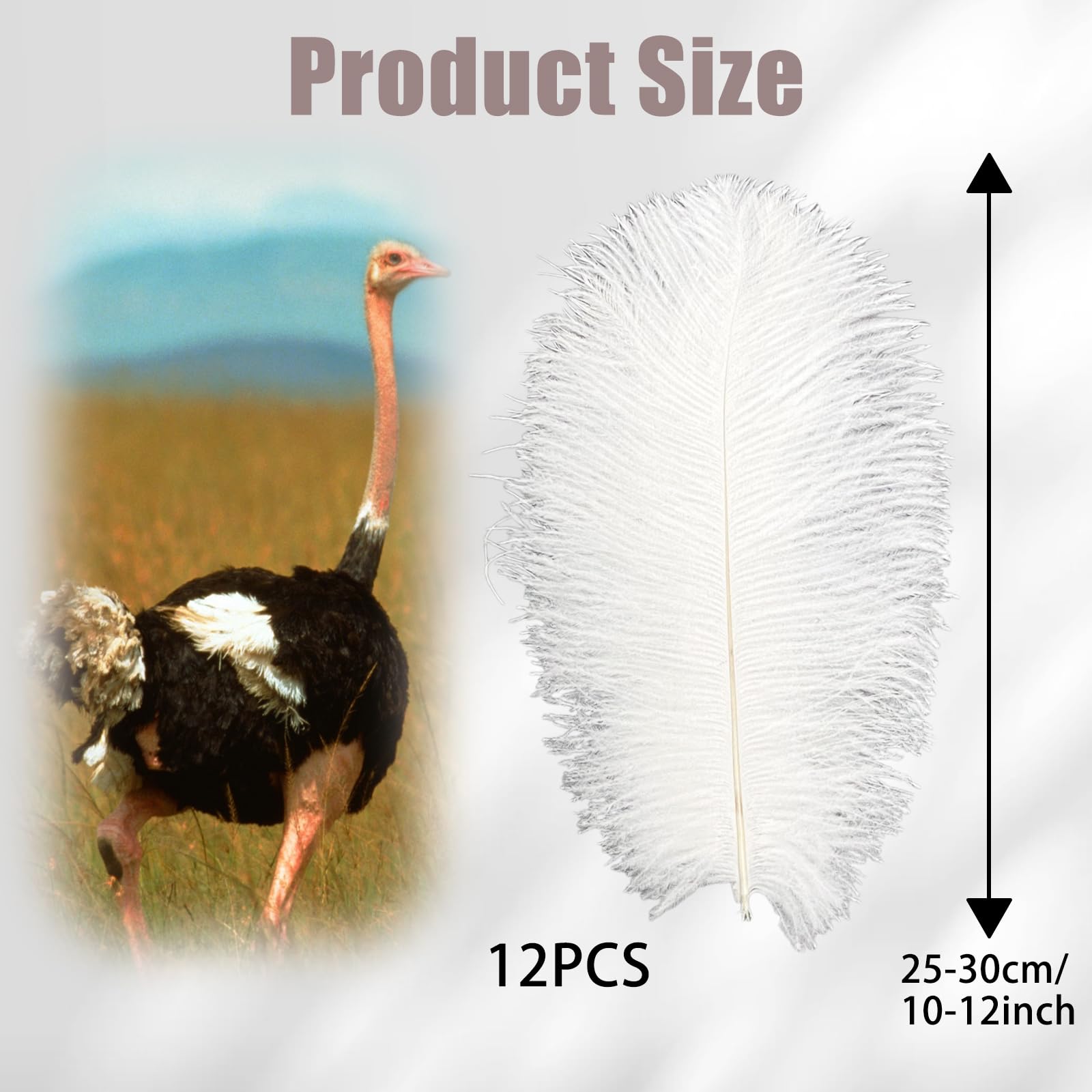 10 piume di struzzo naturali da 25 ?30 cm,per fai da te,accessori per acchiappasogni,decorazione per la casa,costumi,decorazione da tavolo,matrimonio,feste,cappelli,decorazione per vestiti,verde menta