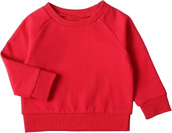 DEFAHN Toddler Baby Pullover Sweatshirt,Long Sleeve Infant Boy Girl Crewneck Active Tshirts 6 Month-3Y