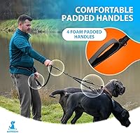 Vista 5 de SparklyPets - Correa doble para perros con manos libres – Correa doble para razas medianas y grandes – Correa para 2 perros con asas acolchadas