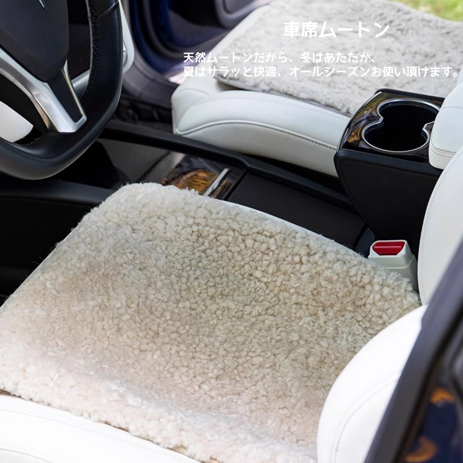 Amazon.co.jp: ムートンクッション 天然ムートン 羊毛100% 短毛