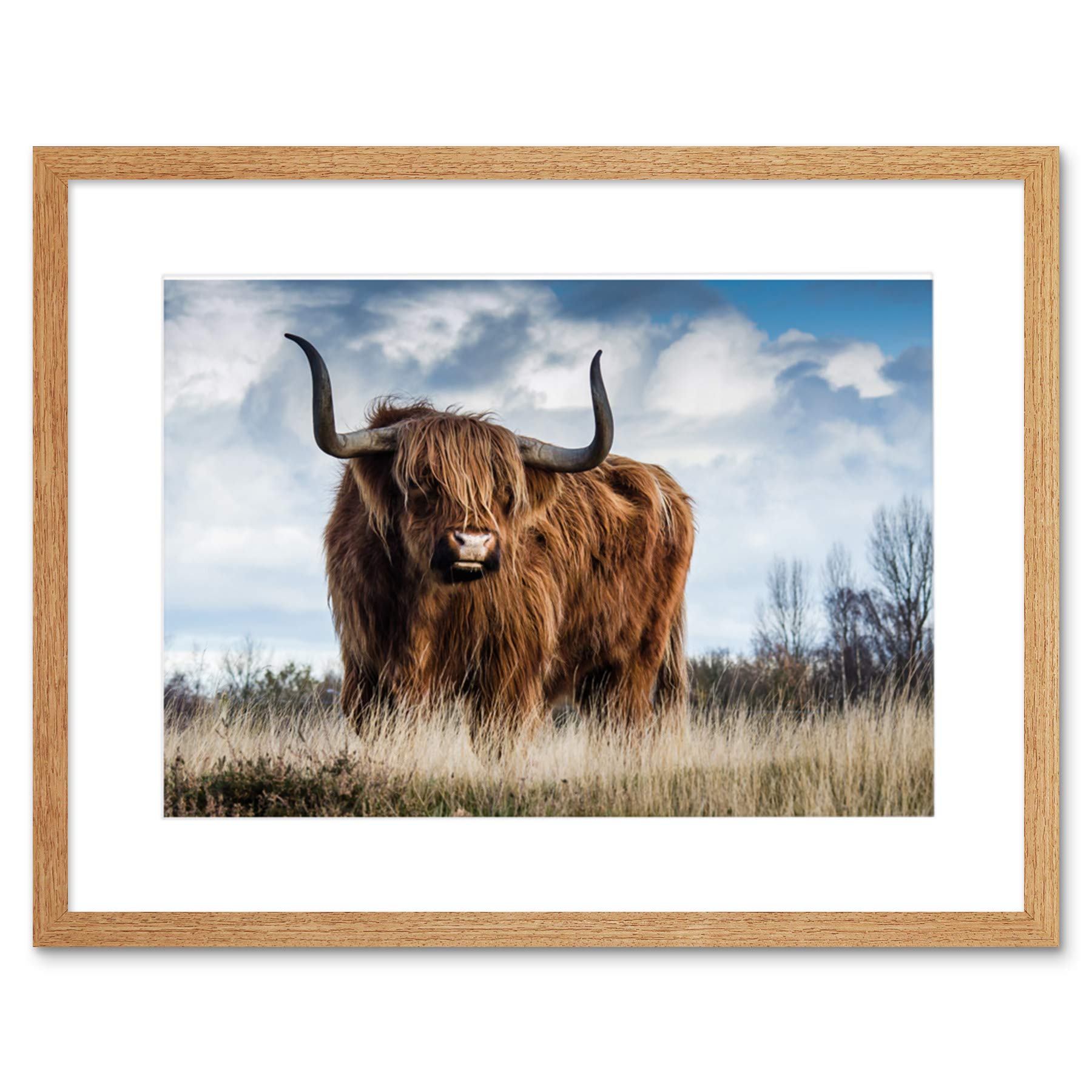 Scottish Highland Cow/Coo Framed Wall Art Print