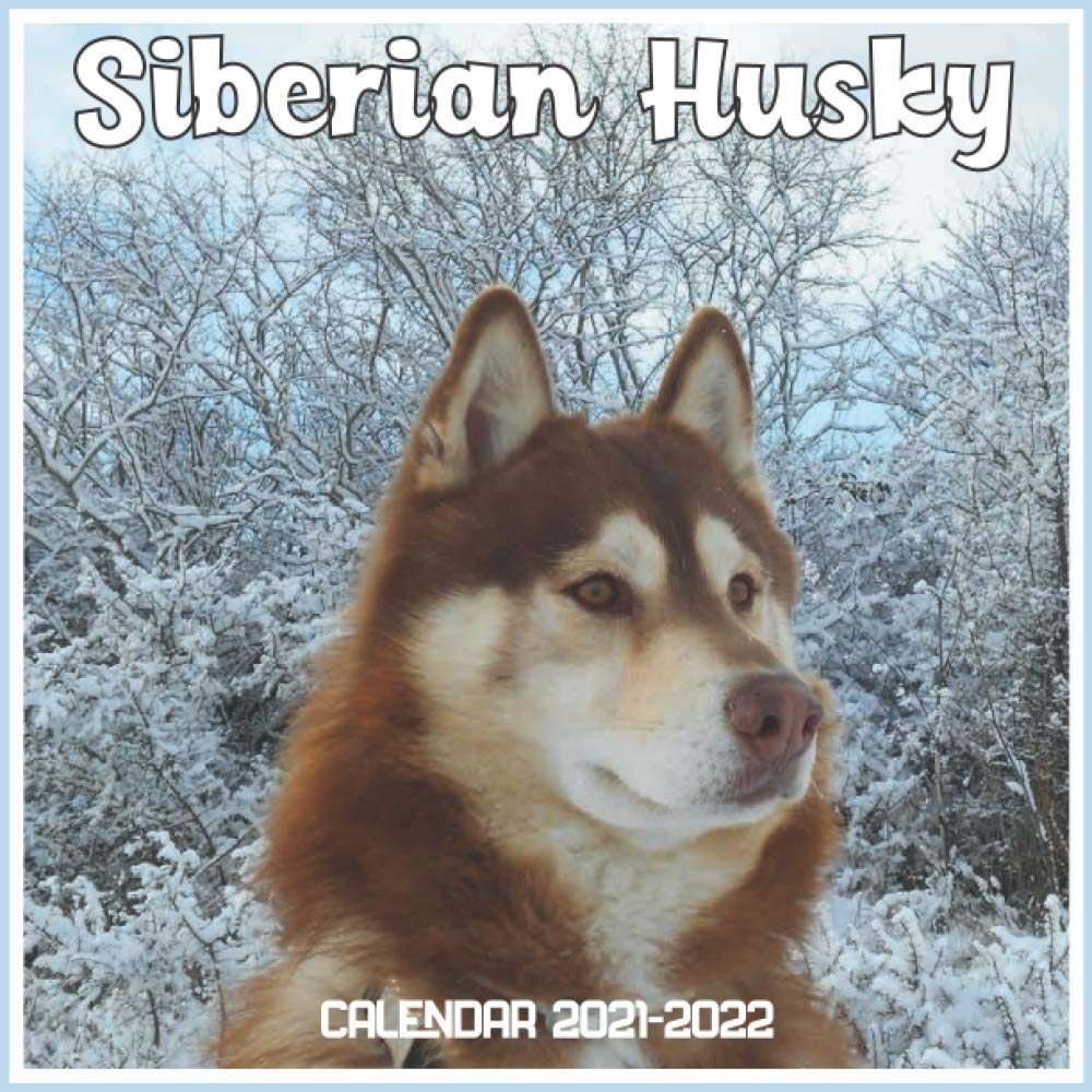 Buy Siberian Husky 20212022 April 2021 Through December 2022 Square