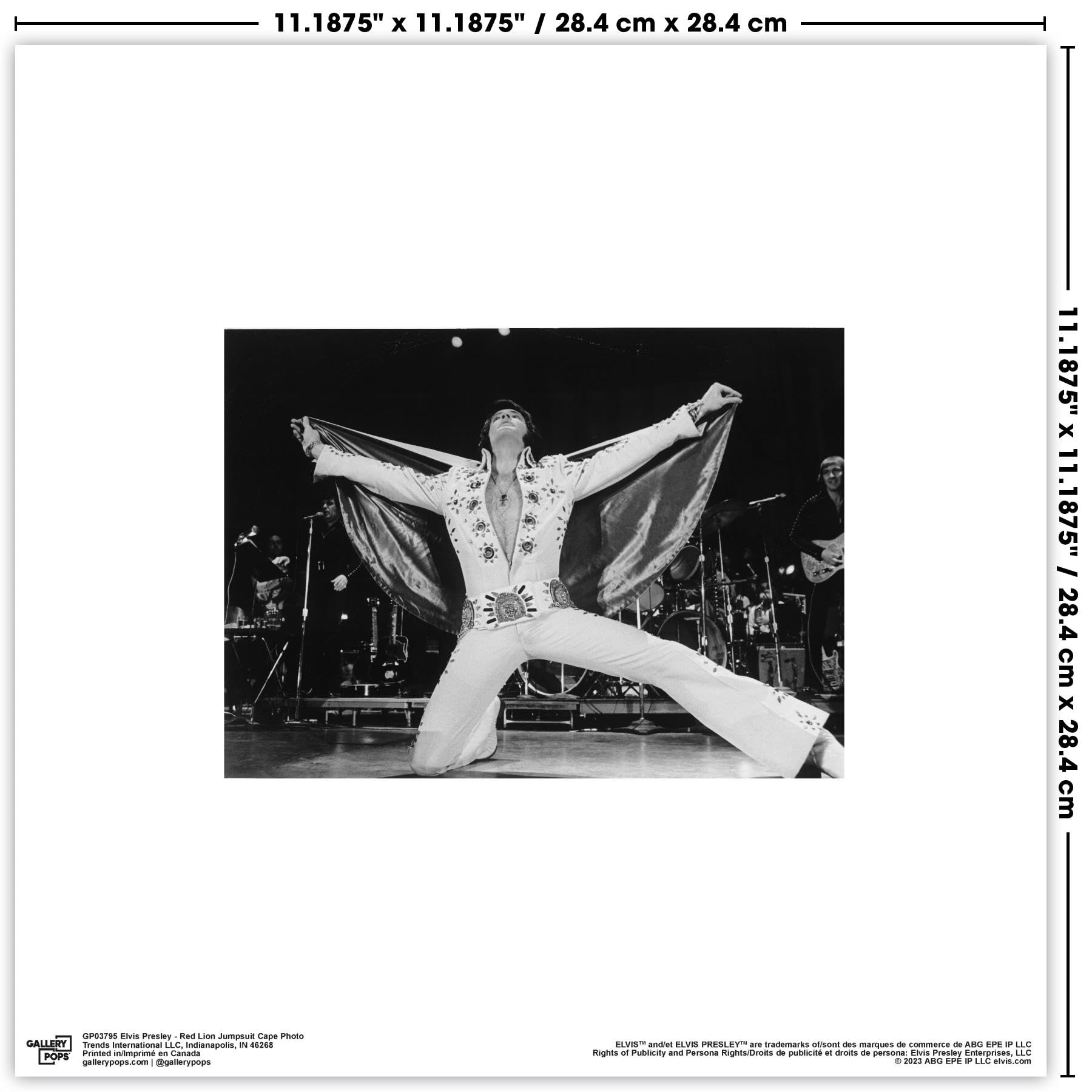Amazon.com: Trends International Gallery Pops Elvis Presley - Red