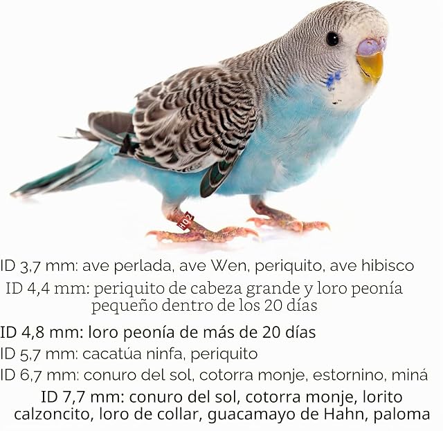Foto 3 de 7 de RQSMYLR Anillo de Pies Cerrado Anillo para Pájaros para Loros Canarios Pies Paloma Aleación de Aluminio 50pcs