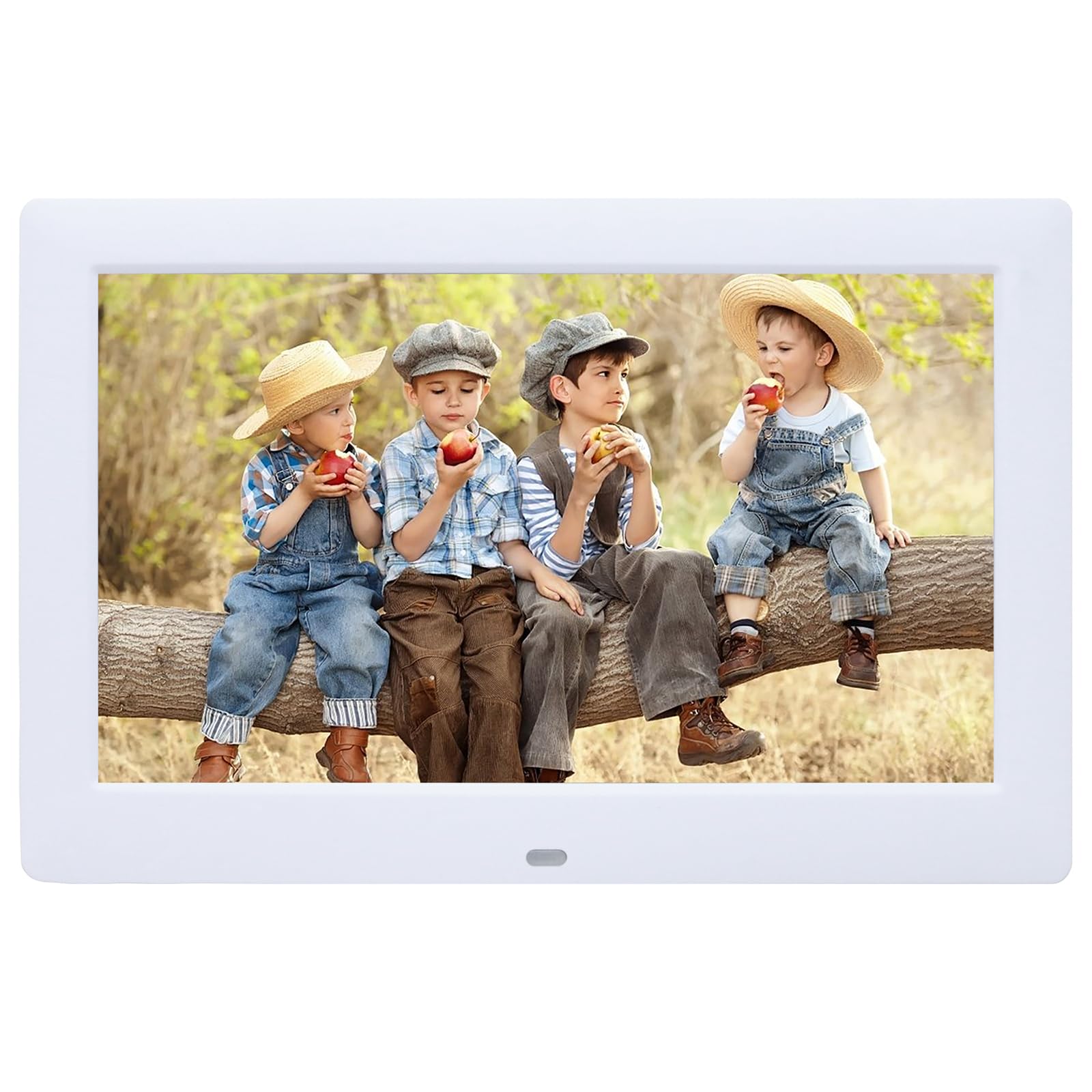 10 INCH Digital Picture Frame,Digital Photo Frames,Photo Video Player with Remote Control,Support Background Music,Multi-Slideshow,4 Windows Display