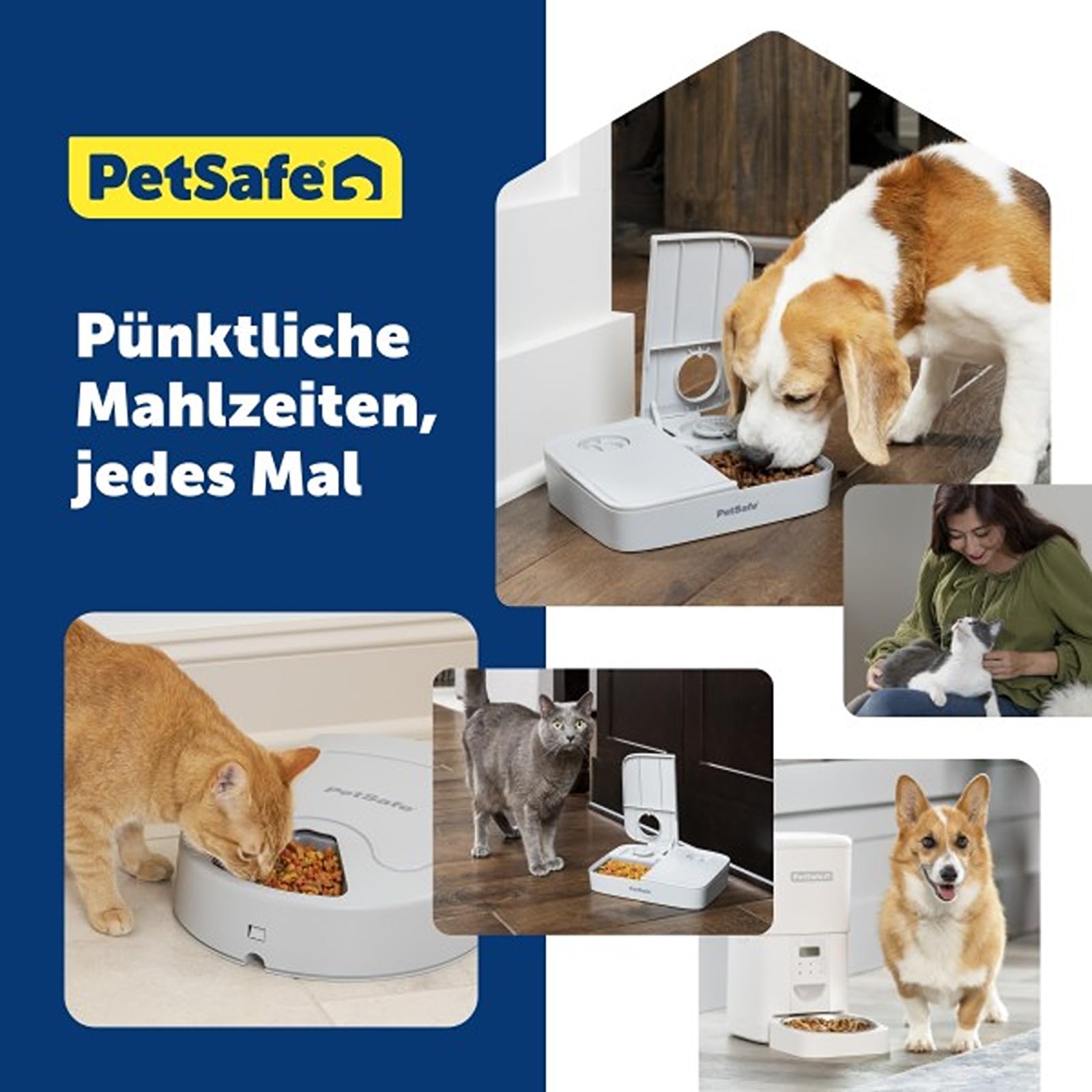 PetSafe Futterautomat für 2 Mahlzeiten, Haustiersicheres Design, Für trockenes Hunde und Katzenfutter, Grau, 1 Stück (1er Pack).