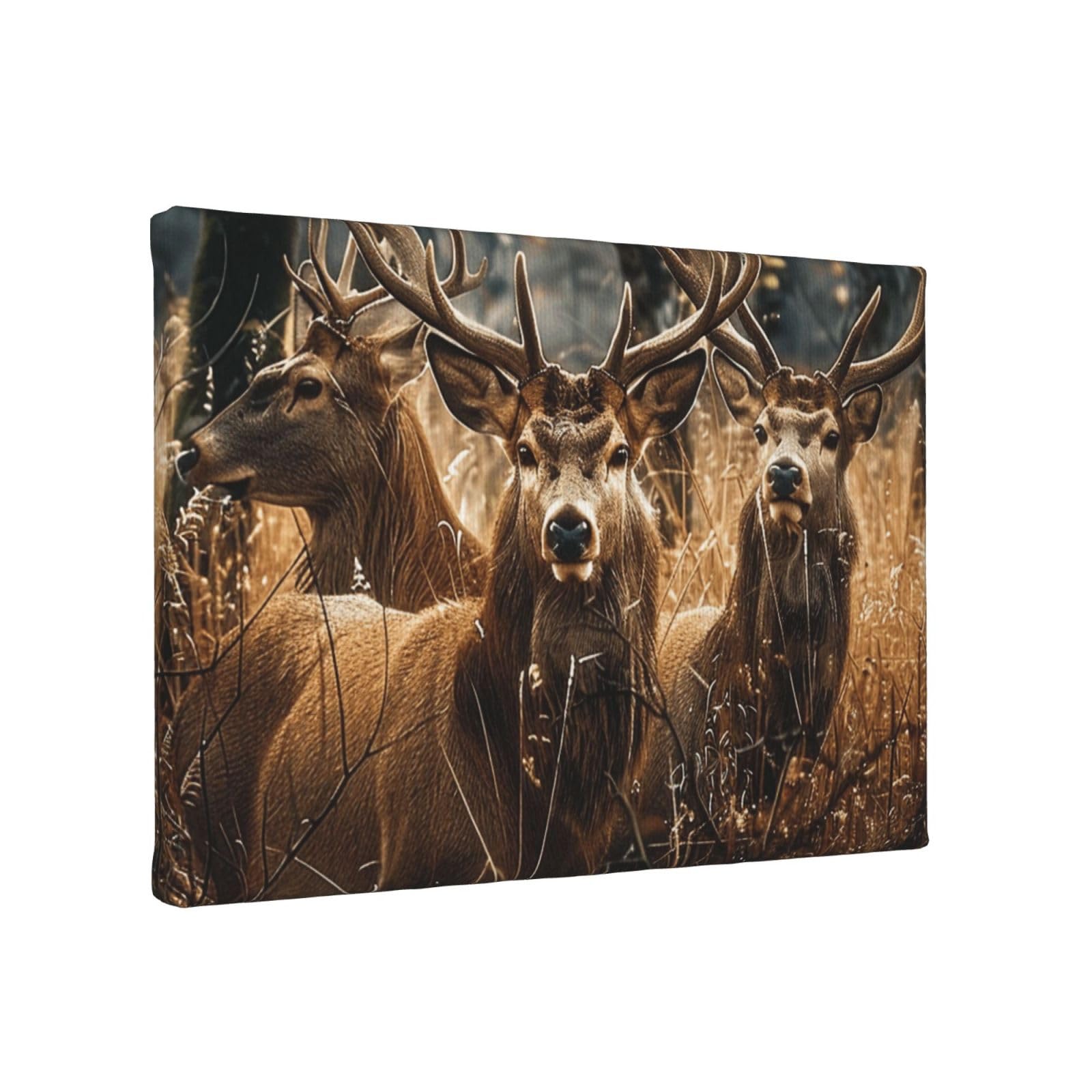 YKLJG Nature wild Animal Deers Printed Wall Art Canvas Painting 30x20 CM Wooden Framed Picture Painting Artwork Prints for Bedroom Kitchen Home Office Decor