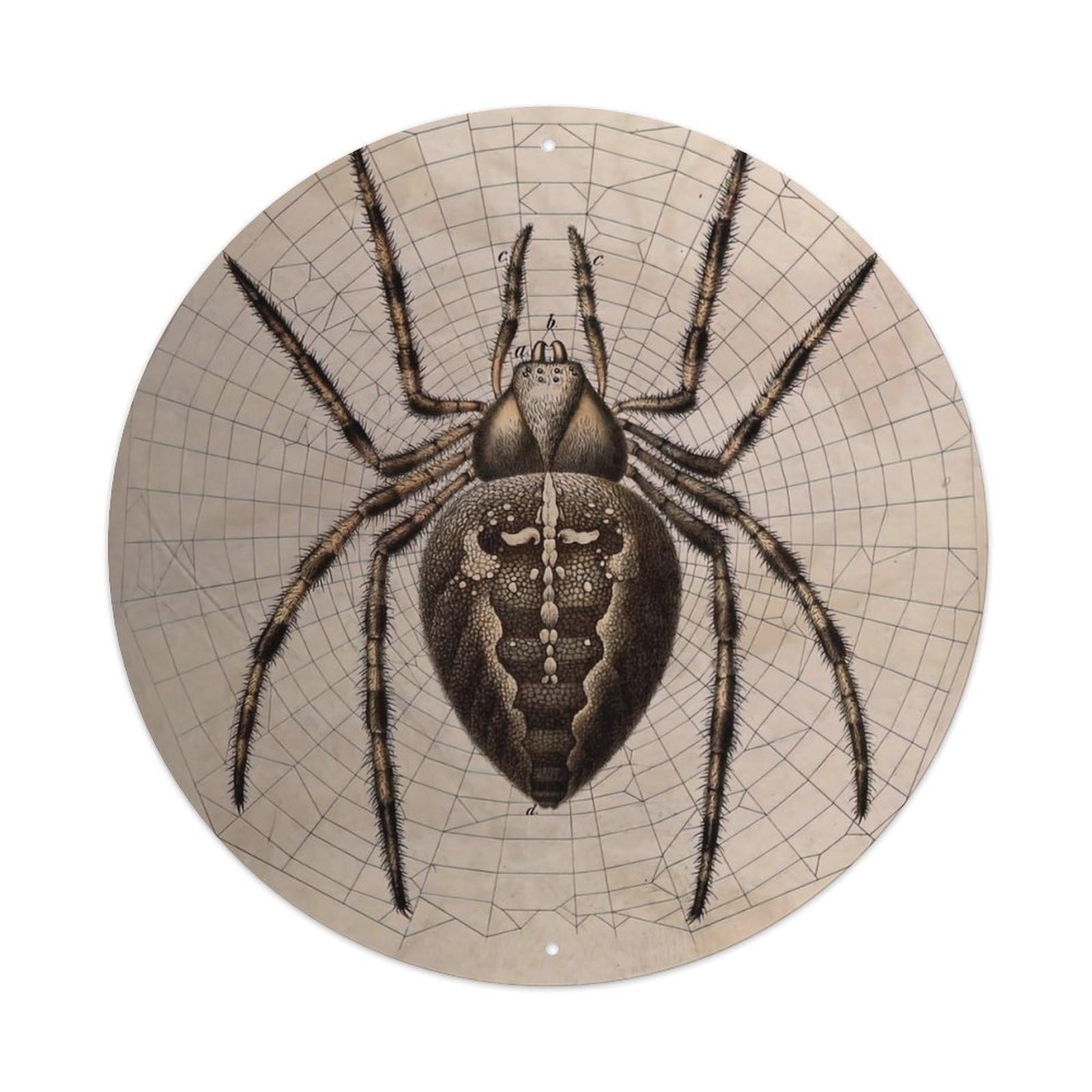 Insect Artwork Garden Spider Vintage Metal Tin Sign Plaque Wall Decor for Cafe, Club Bar, Office, Garden Metal Poster 8x8Inch