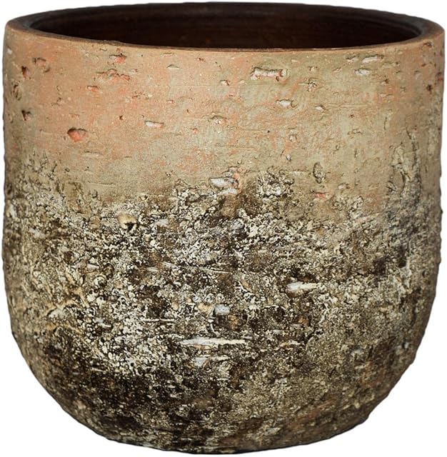 Ivyline Albero Round Bowl Planter - Stylish & Waterproof - Durable Home Tabletop Balcony Rustic Finish Decorative Indoor Flower Pot - H26cm x D28cm