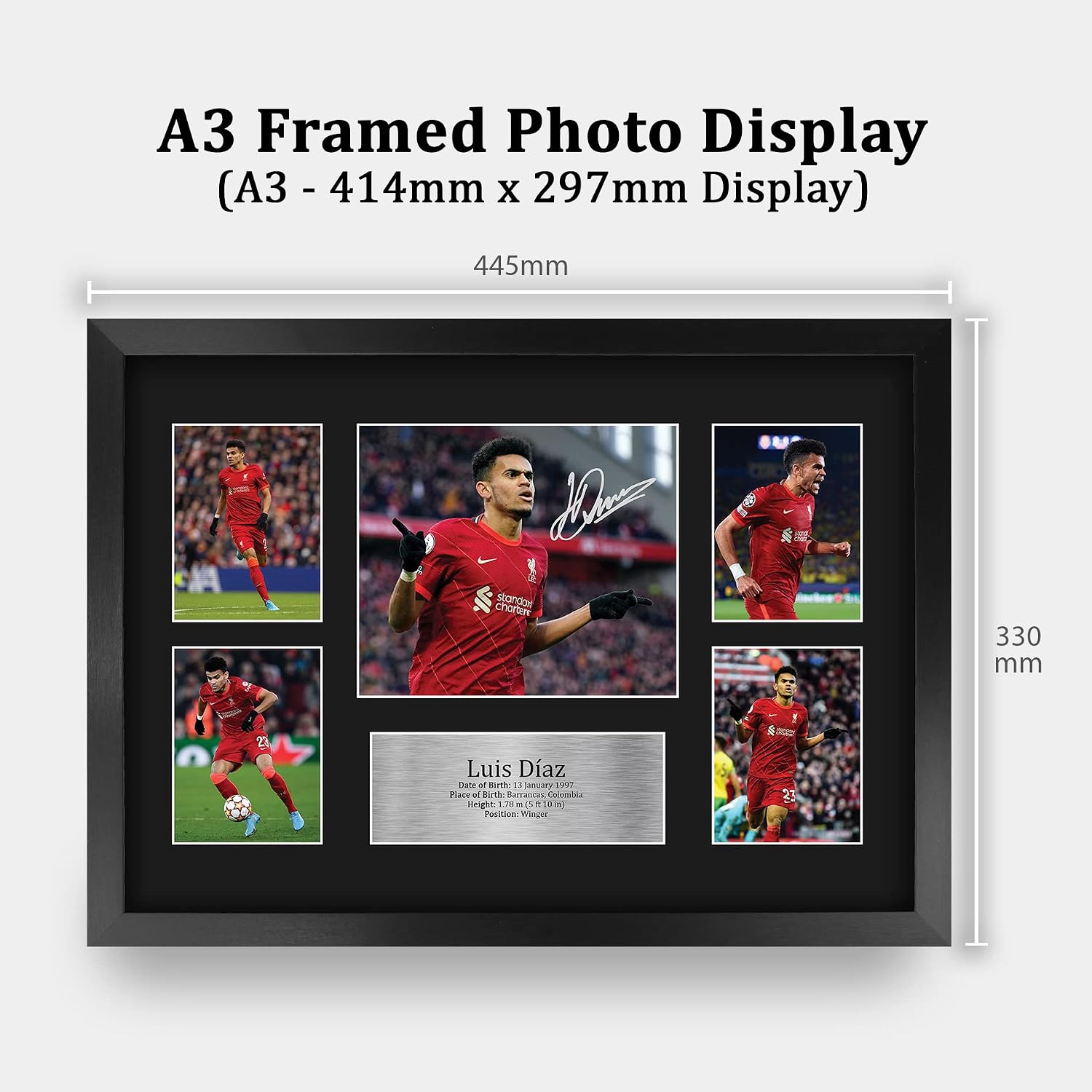 HWC Trading Luis Diaz Liverpool 16 x 12 inch (A3) Printed Gifts Memorabilia Signed Autograph Photograph Display for Football Fans and Supporters - 16" x 12" Framed