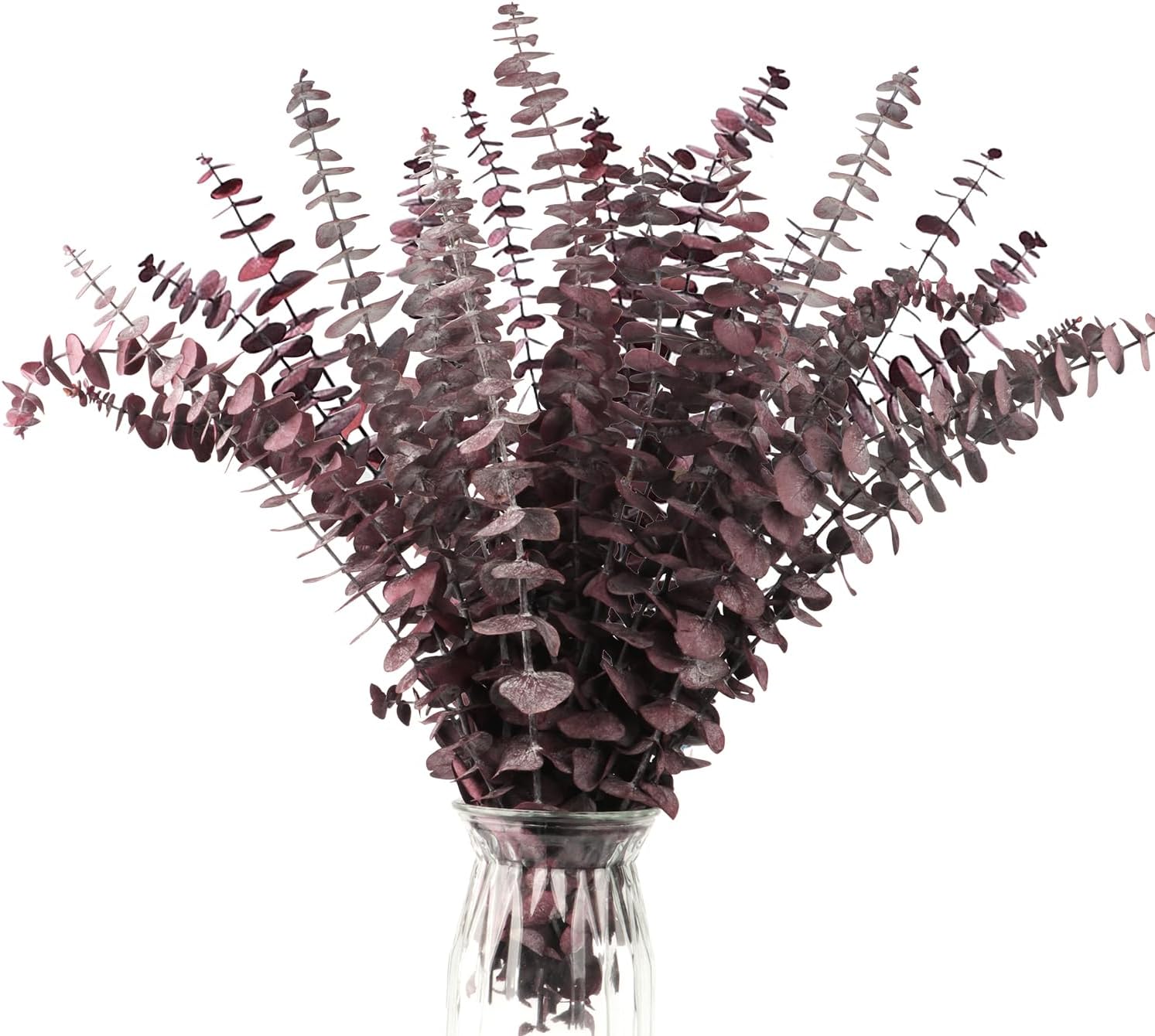 24PCS Fall Eucalyptus Stem 18” Natural Dried Eucalyptus