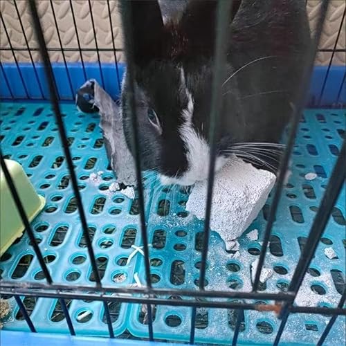 6 Pack Hamster Chew Stones,Rabbit Teeth Molar Grinding Stones,Guinea Pig Bunny Rabbit Chew Stones, Teeth Grinding Lava Block for Small Animal Chinchilla Bunny Rabbit - 3 cm (6 Cube)(6 Cube)