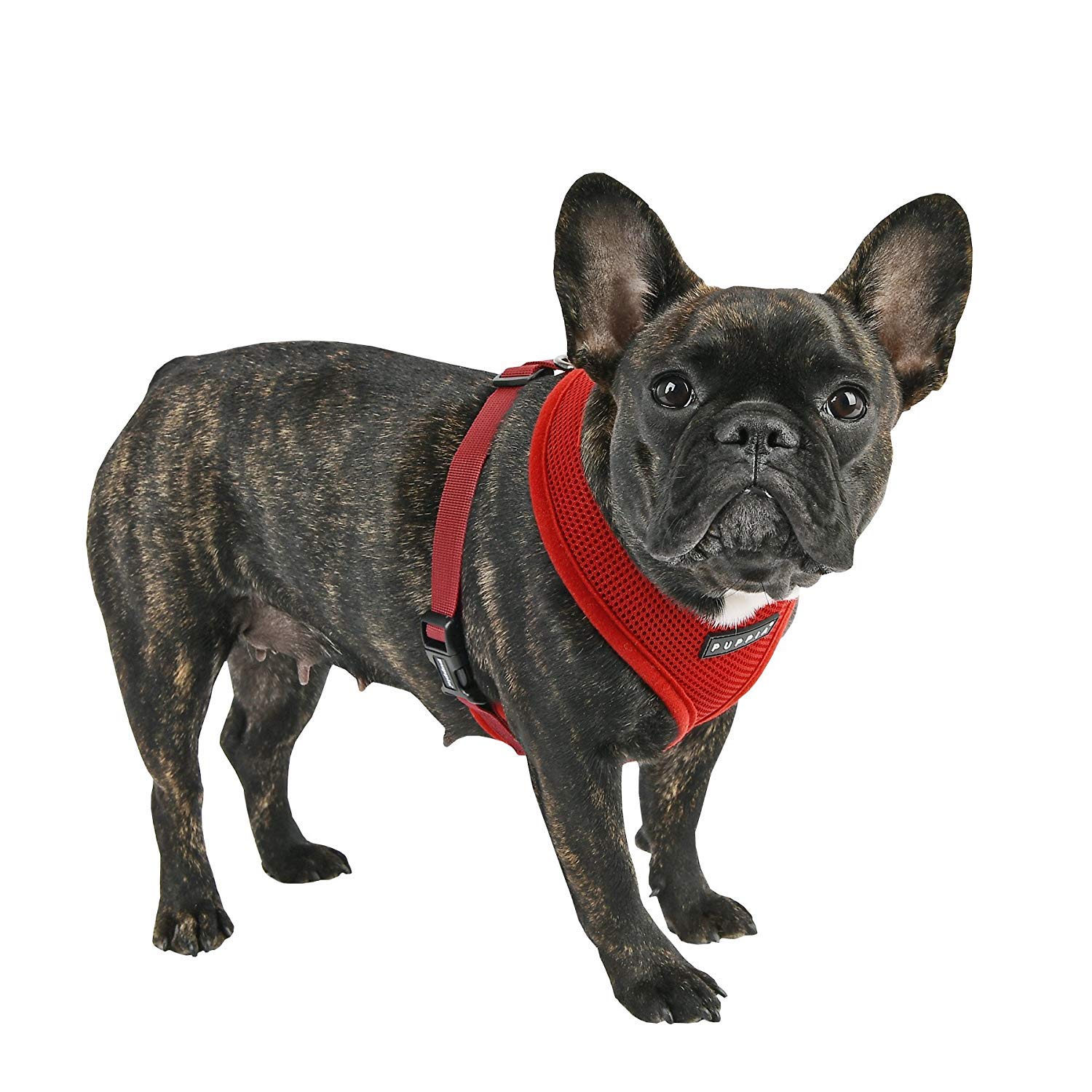 Puppia Arnés Suave para Perro, Vino, XXL (PDCF-AC30-WN-XXL)