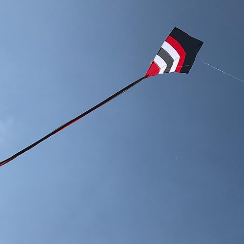 Miniatura 2 de In the Breeze Cometas de diamantes de arco