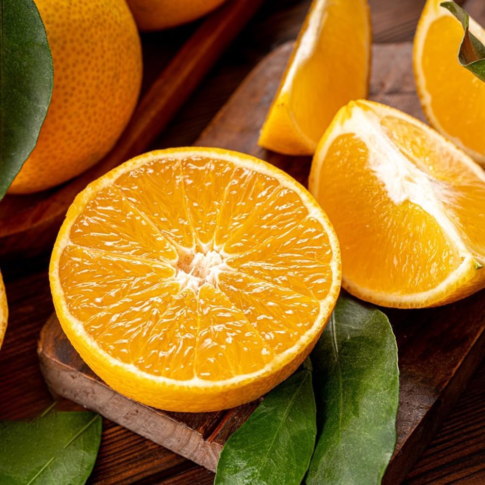 100 Jasmin Samen Winterhart - Clerodendrum Wallichii Mehrjährige Blumen