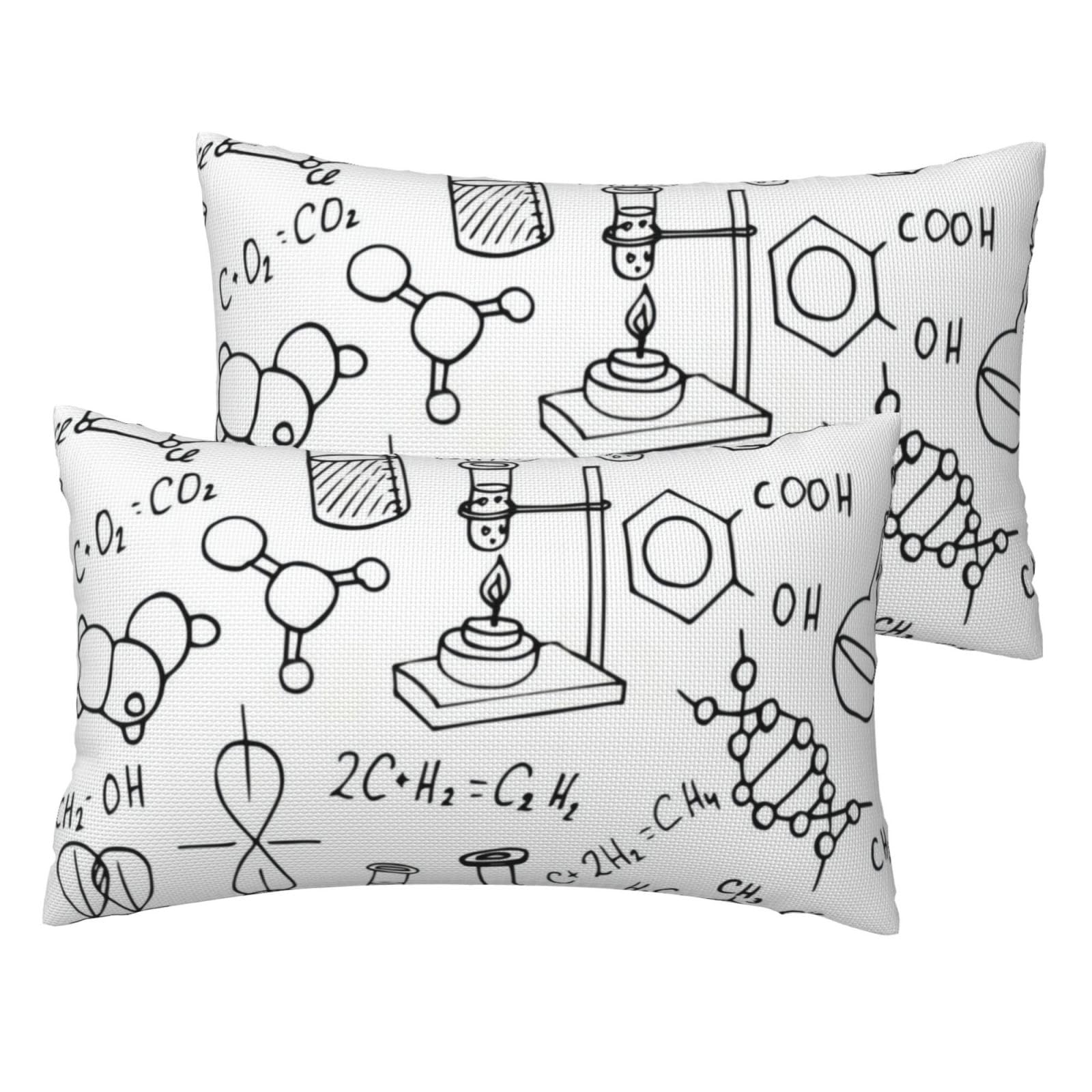 Taies d'oreiller chimie lot de 2 housses de coussin lit motif scientifique aspect lin