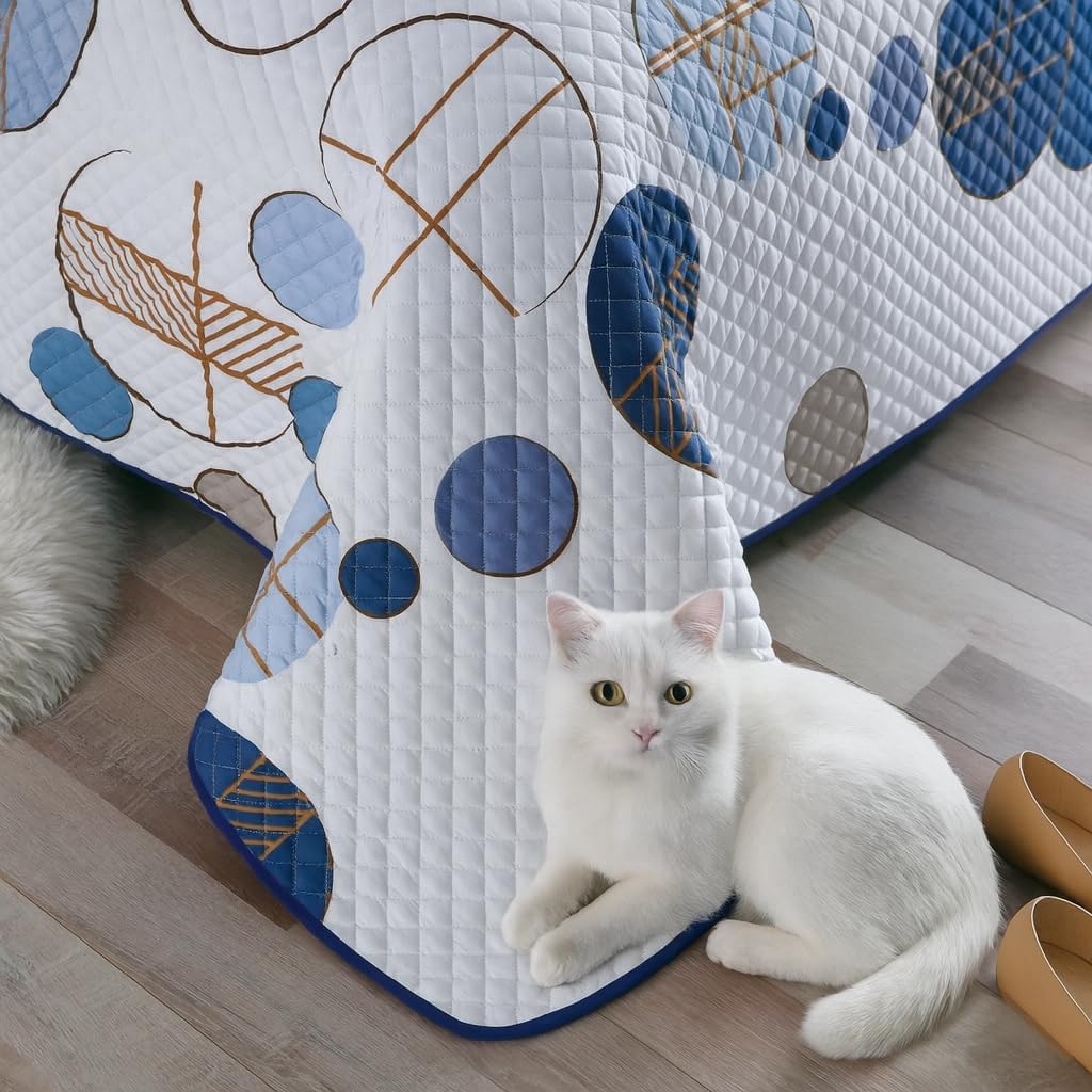 DBOZE Reversible Cotton Blend 3-Piece Embroidery Pattern Elegant Bedding Quilt Set with Embroidered Decorative Shams Soft Bedspread & Coverlet Set (Blue/White, Queen)