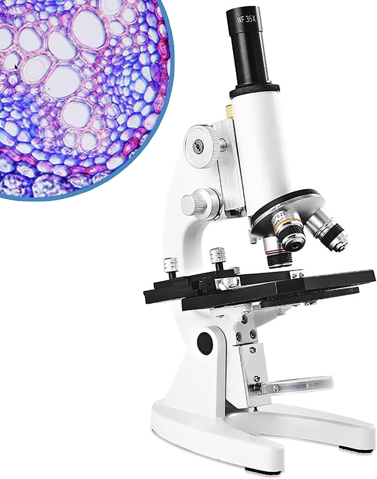 LJZLJZ 12000X-30000X Monocular Optical Microscope, Children Science Experimental Biology Teaching Microscope, with Phone Holder,30000X