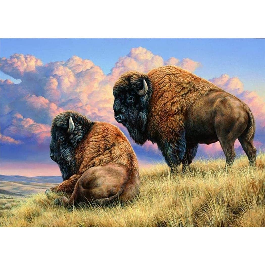 YSCOLOR Diamond Painting 5D Fai Da Te: Bisonte Colorato 30x40cm - Kit Completo Adulti E Bambini - 3