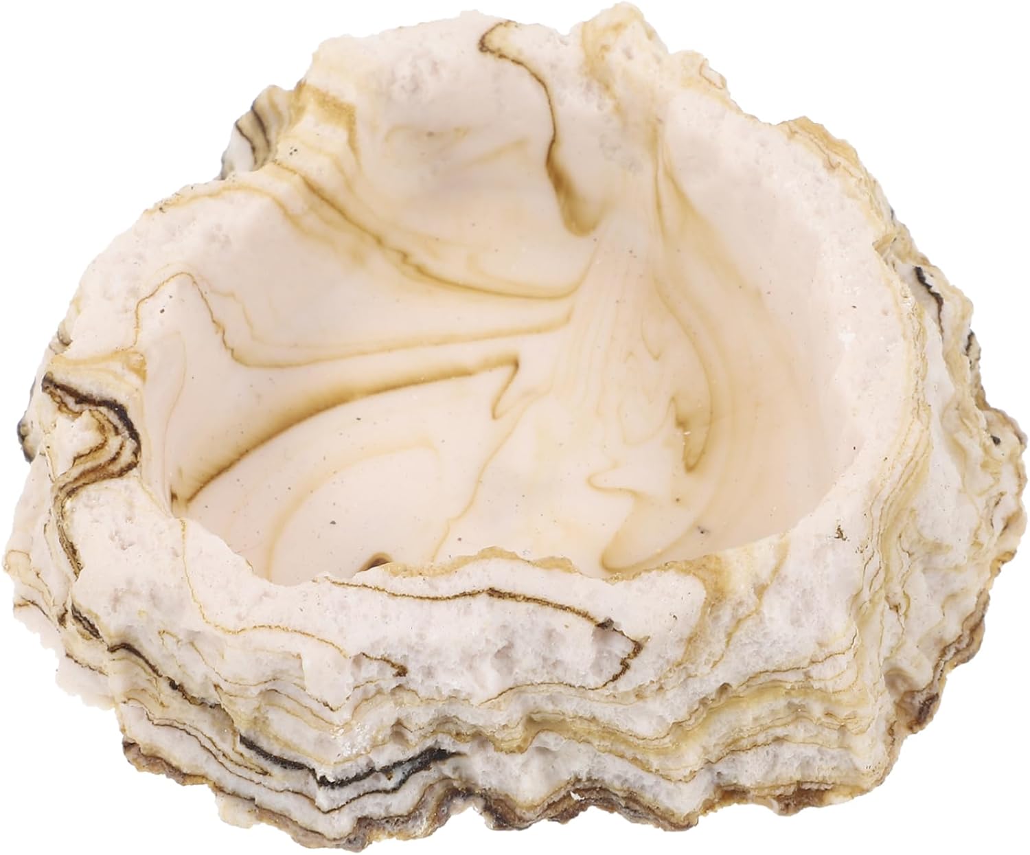 VANZACK Pcs Resin Reptile Food Dish Terrarium Water Bowl Gecko Feeding Dish Lizard Corner Feeding