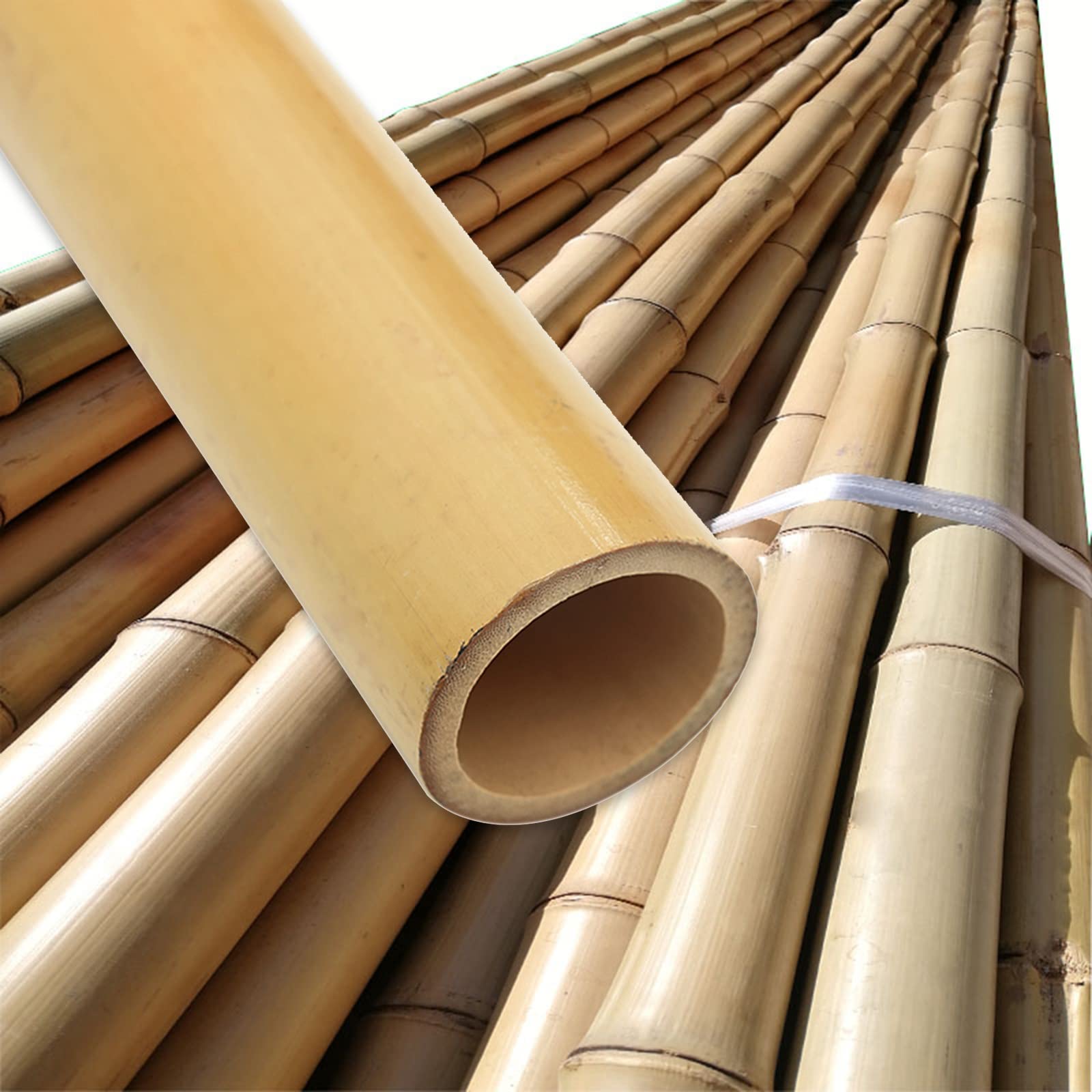 Buy 10 Pack Bamboo Stakes for Gardening, Garden Stakes for Tomatoes