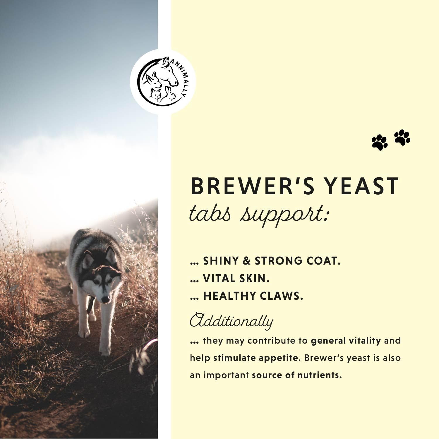 Brewers Yeast for Dogs, 100% Pure Brewers Yeast Tablets (100 Tablets), Supports Shiny Coat, Healthy Skin & Reduces Shedding - Image 3