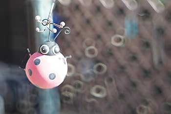 PENTAX SMC Takumar 55mm F1.8 宝石レンズ リングボケ Amazon | オールドレンズ 神レンズ SMC Takumar 55mm f1.8 宝石