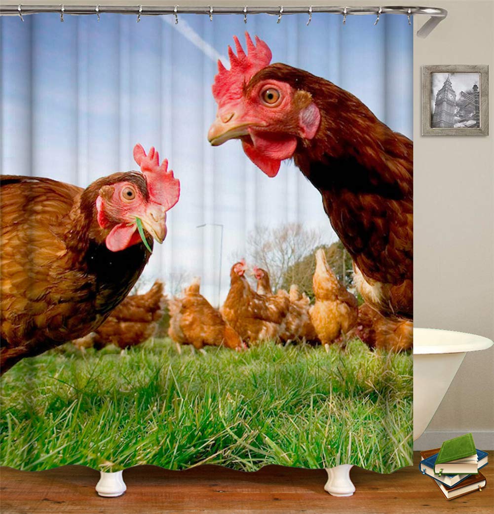 Kwboo Animal Decoration. Chicken On The Lawn. Shower Curtain 180X180Cm. Waterproof And Easy To Clean. 3D Hd Printing. Free Hook.