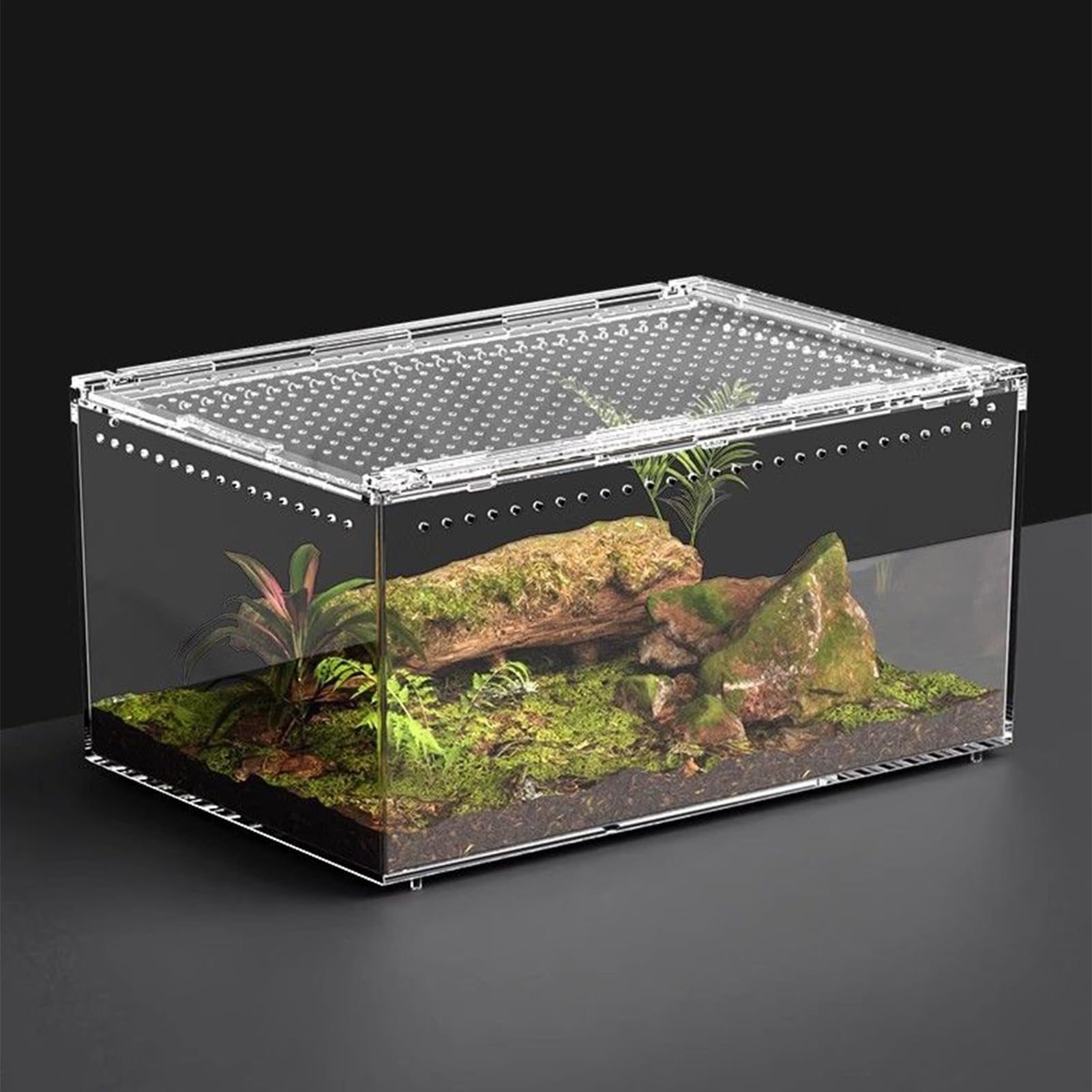 Terrario Per Acrilico Trasparente Ventilato A Prova Di Fuga | Habitat Per Tarantole E Saltatori Per Anfibi Rane Granchi Tartarughe Drago Barbuto Interno Desktop